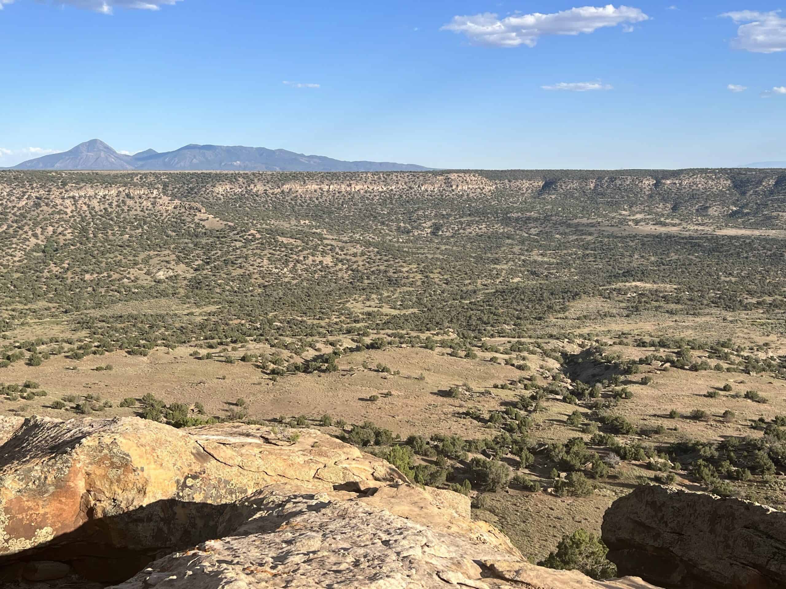 Colorado acreage bordering BLM For Sale
