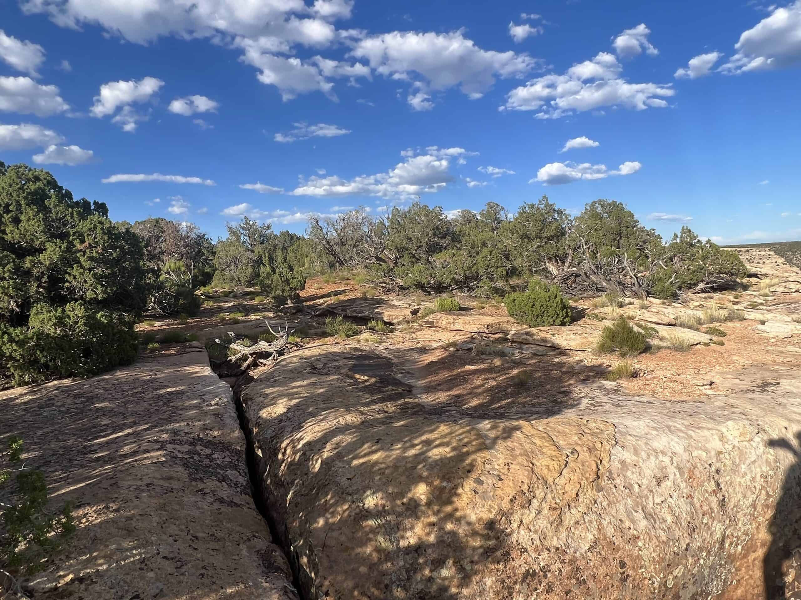 Colorado acreage bordering BLM For Sale
