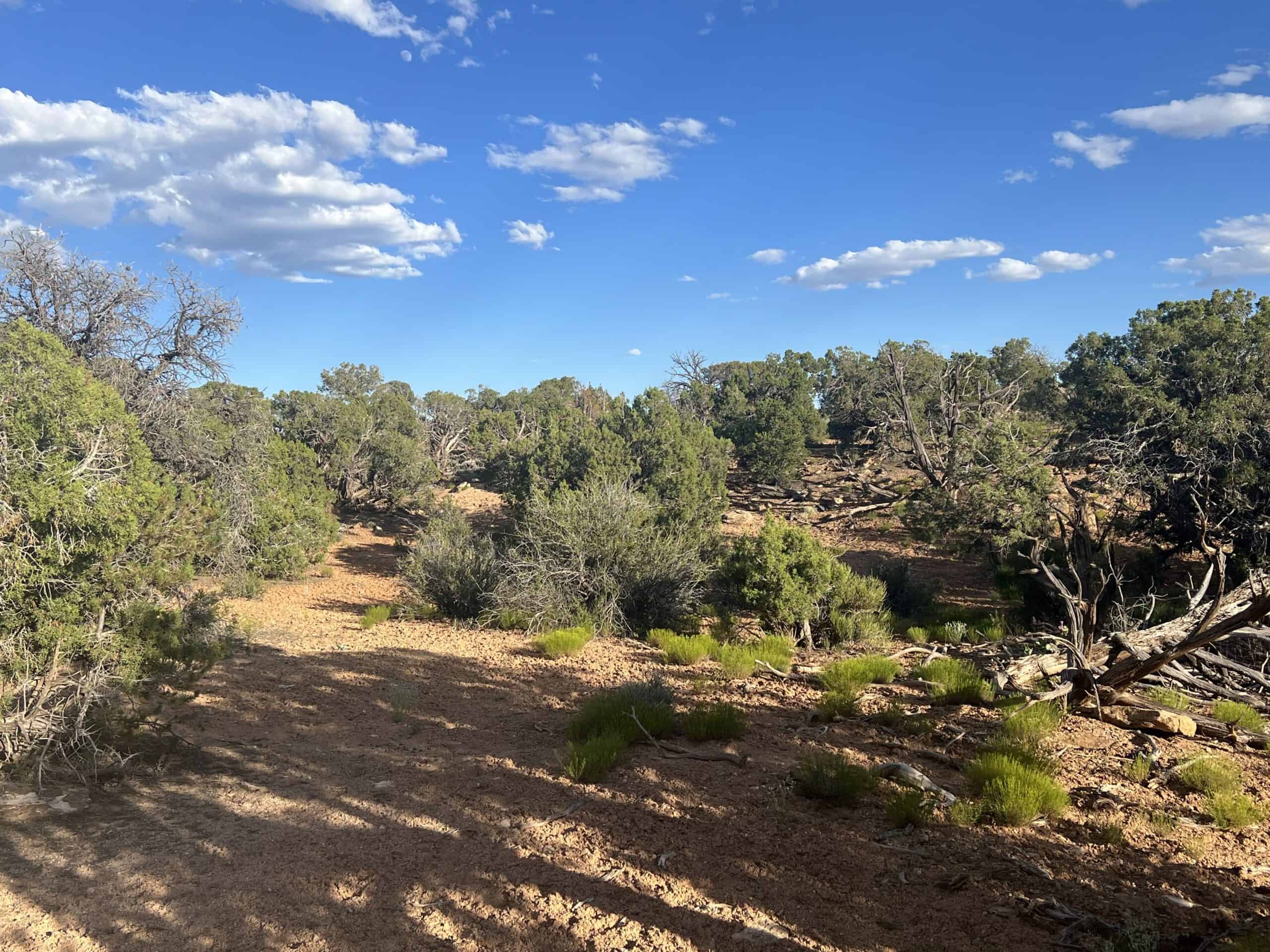 Colorado acreage bordering BLM For Sale