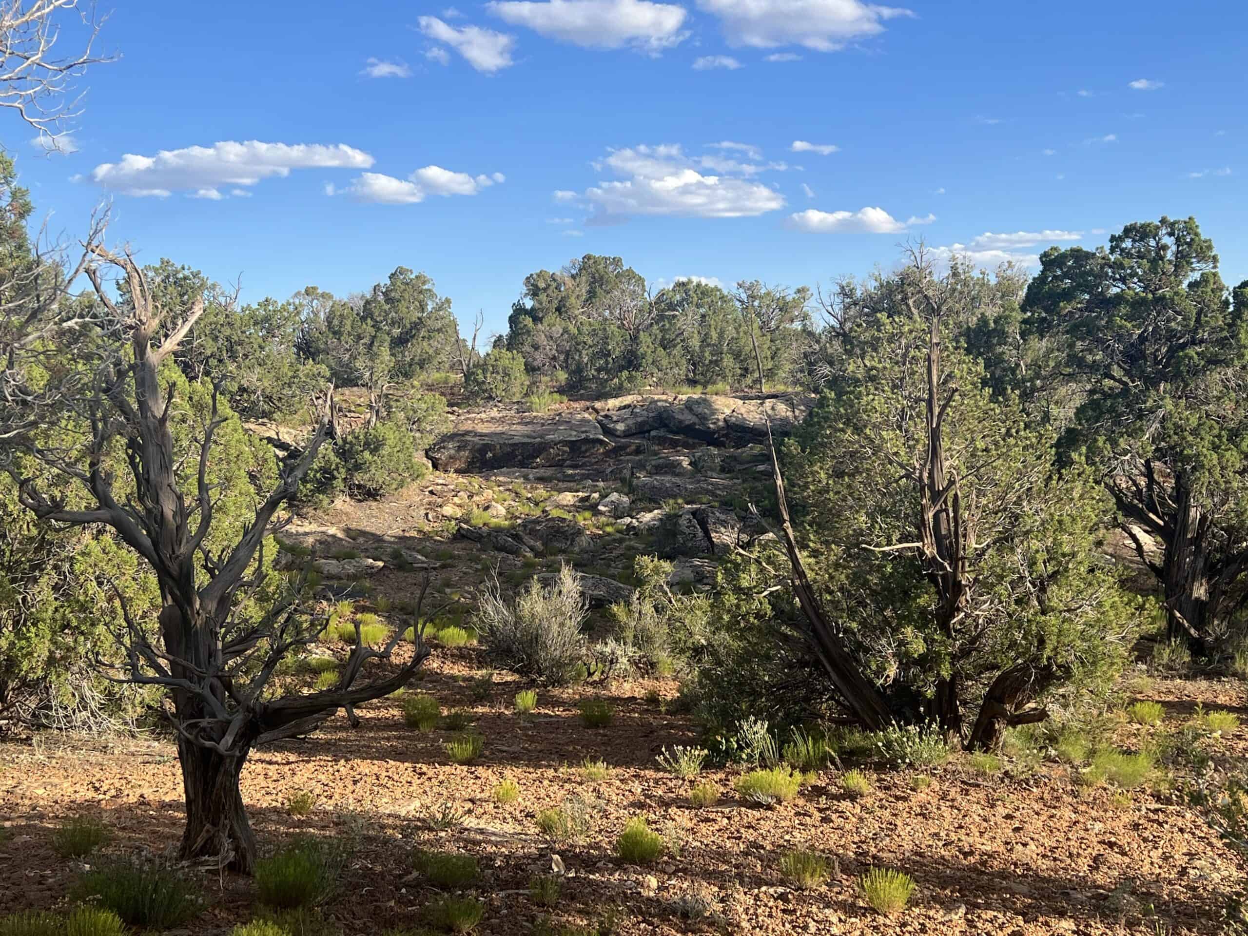 Colorado acreage bordering BLM For Sale