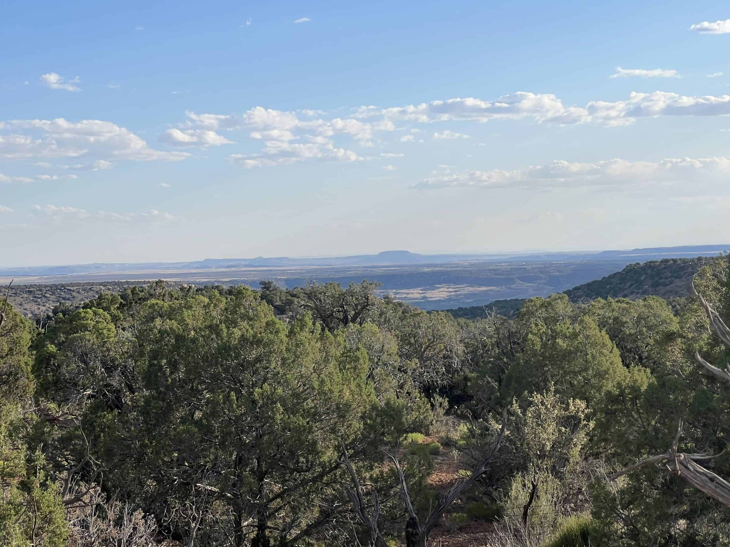 Colorado acreage bordering BLM For Sale
