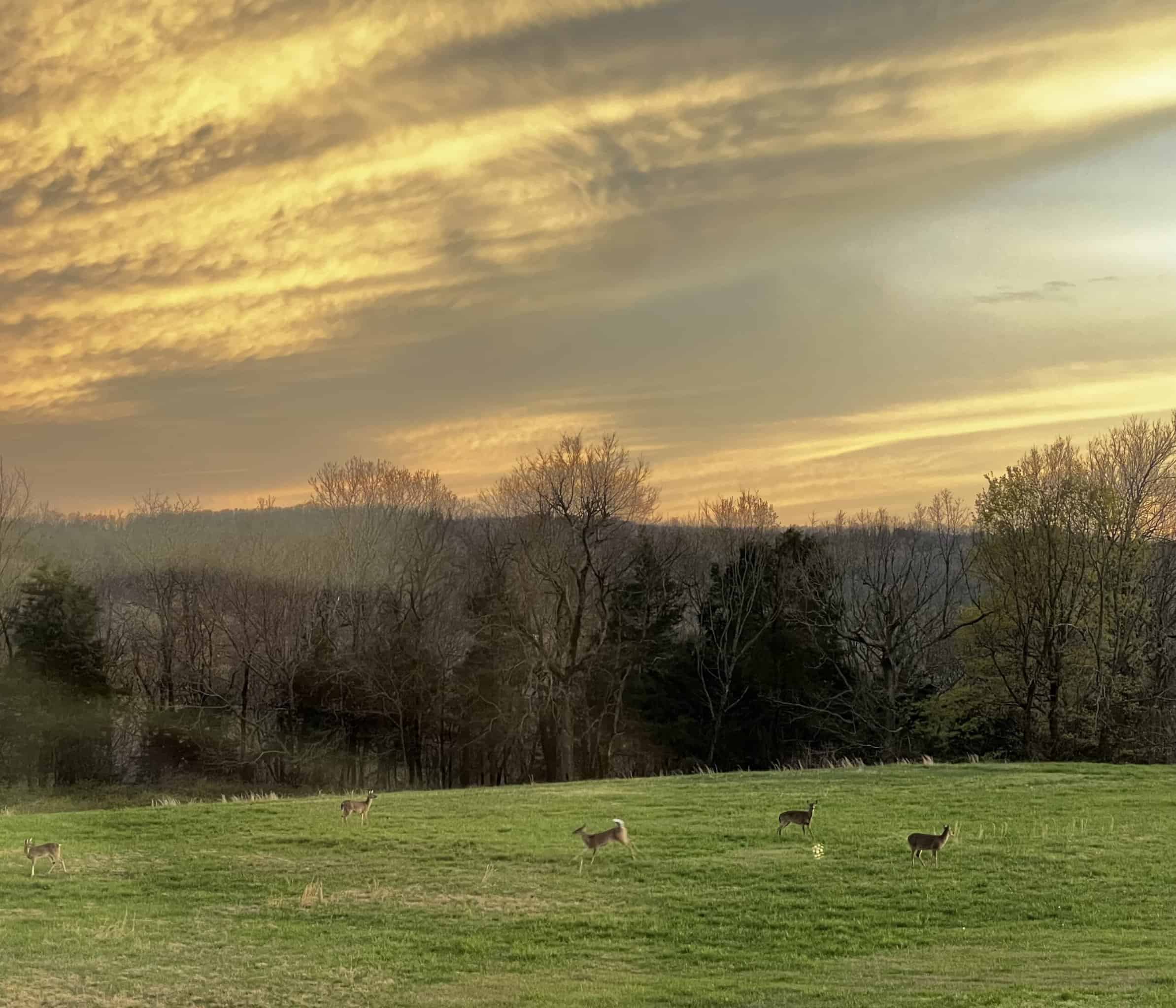 Luxury Northwest Arkansas Hunting and Recreational Retreat For Sale