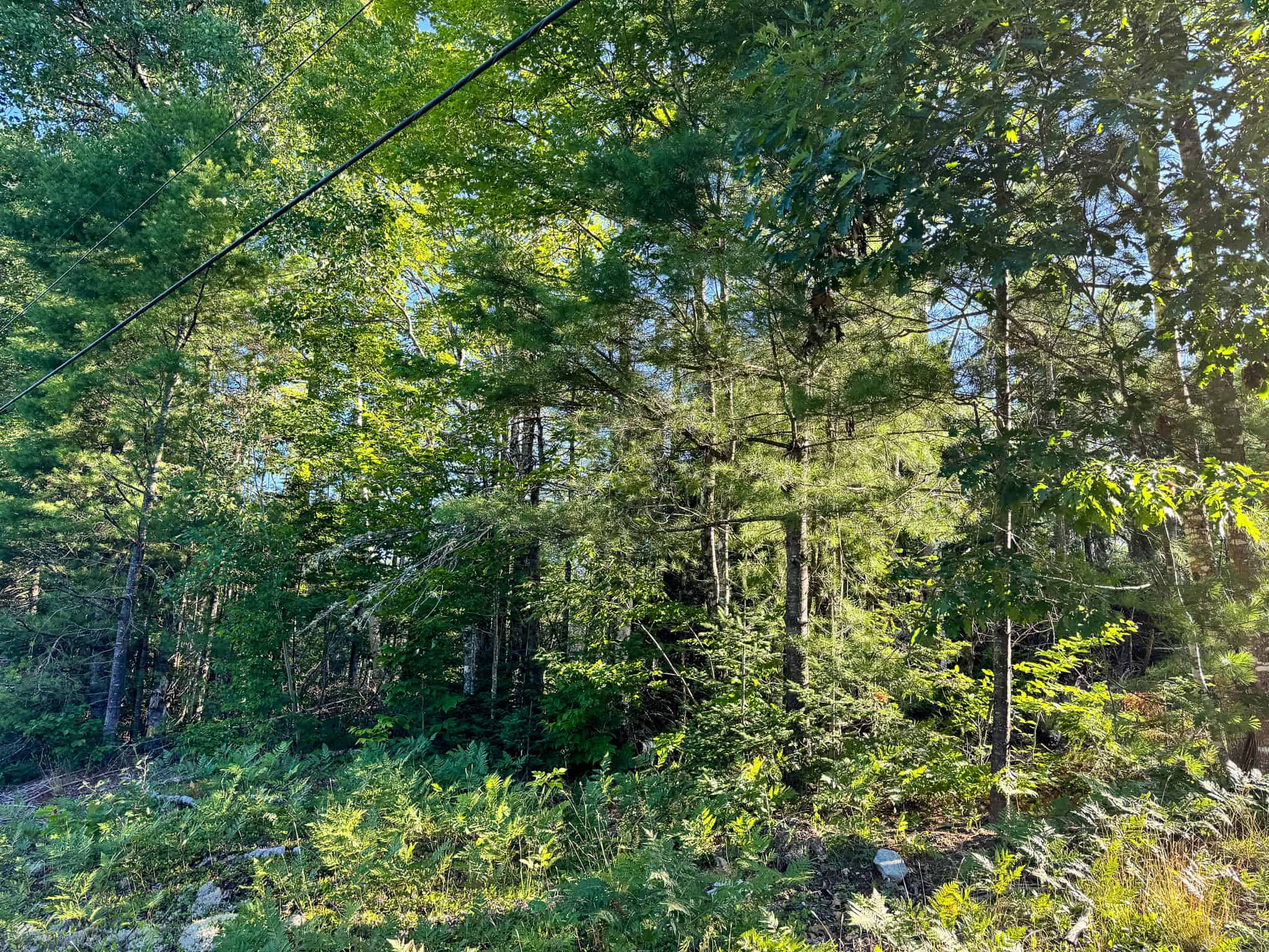 Large Year Round Accessible Maine Parcel