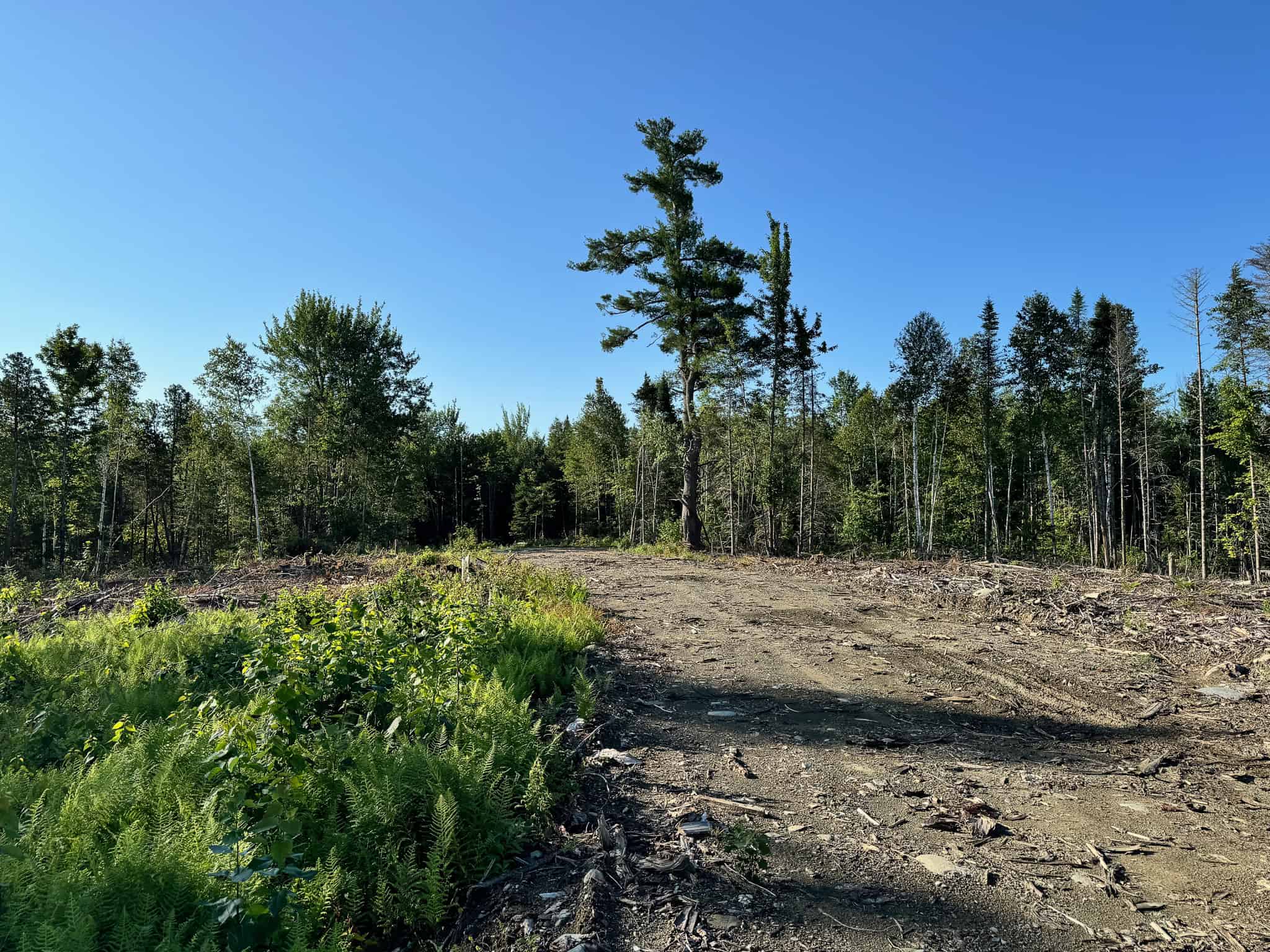 Large Year Round Accessible Maine Parcel
