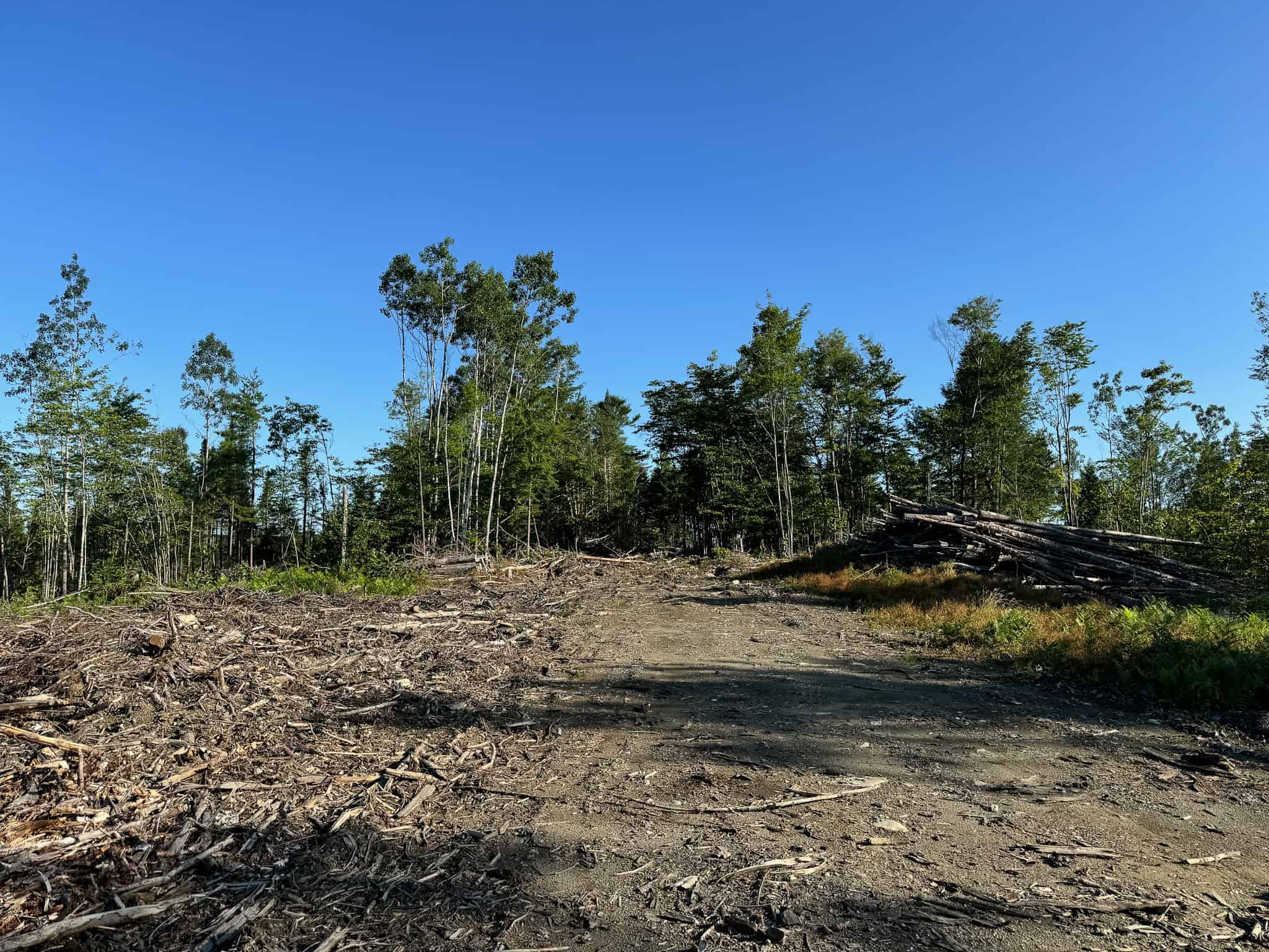 Large Year Round Accessible Maine Parcel
