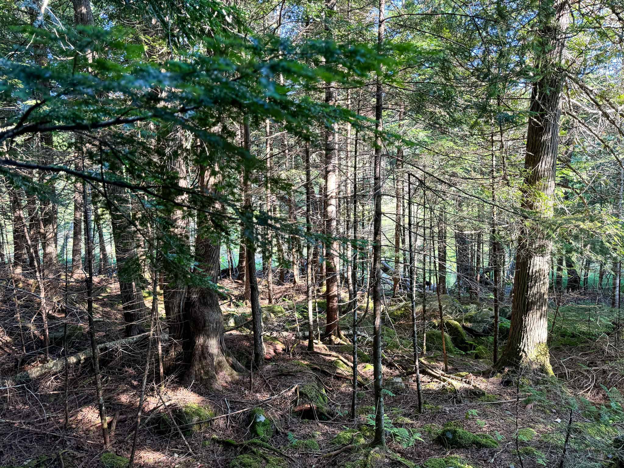 Large Year Round Accessible Maine Parcel