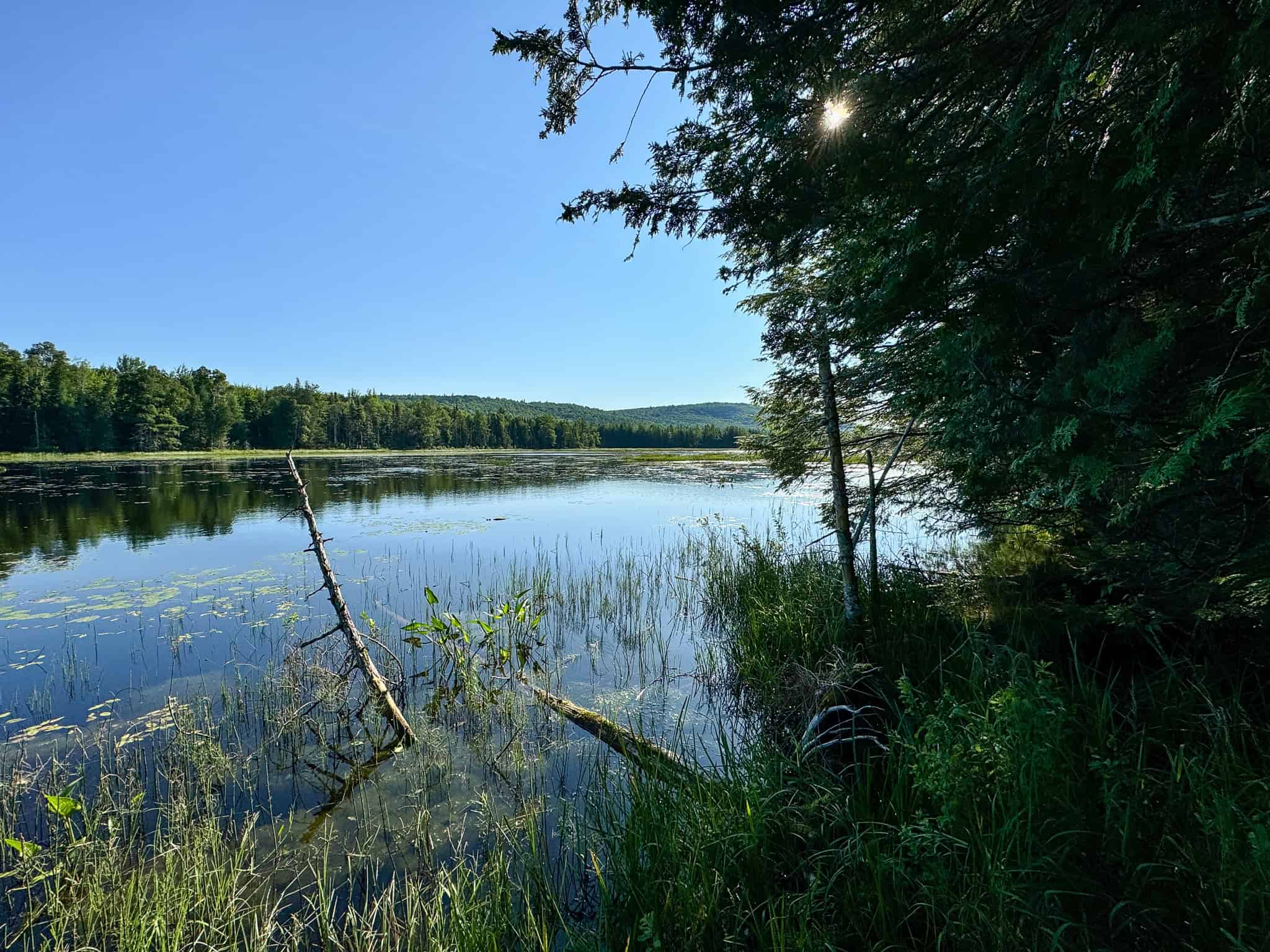 Large Year Round Accessible Maine Parcel