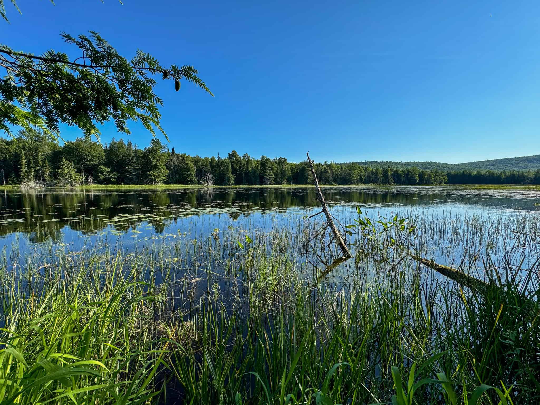 Large Year Round Accessible Maine Parcel