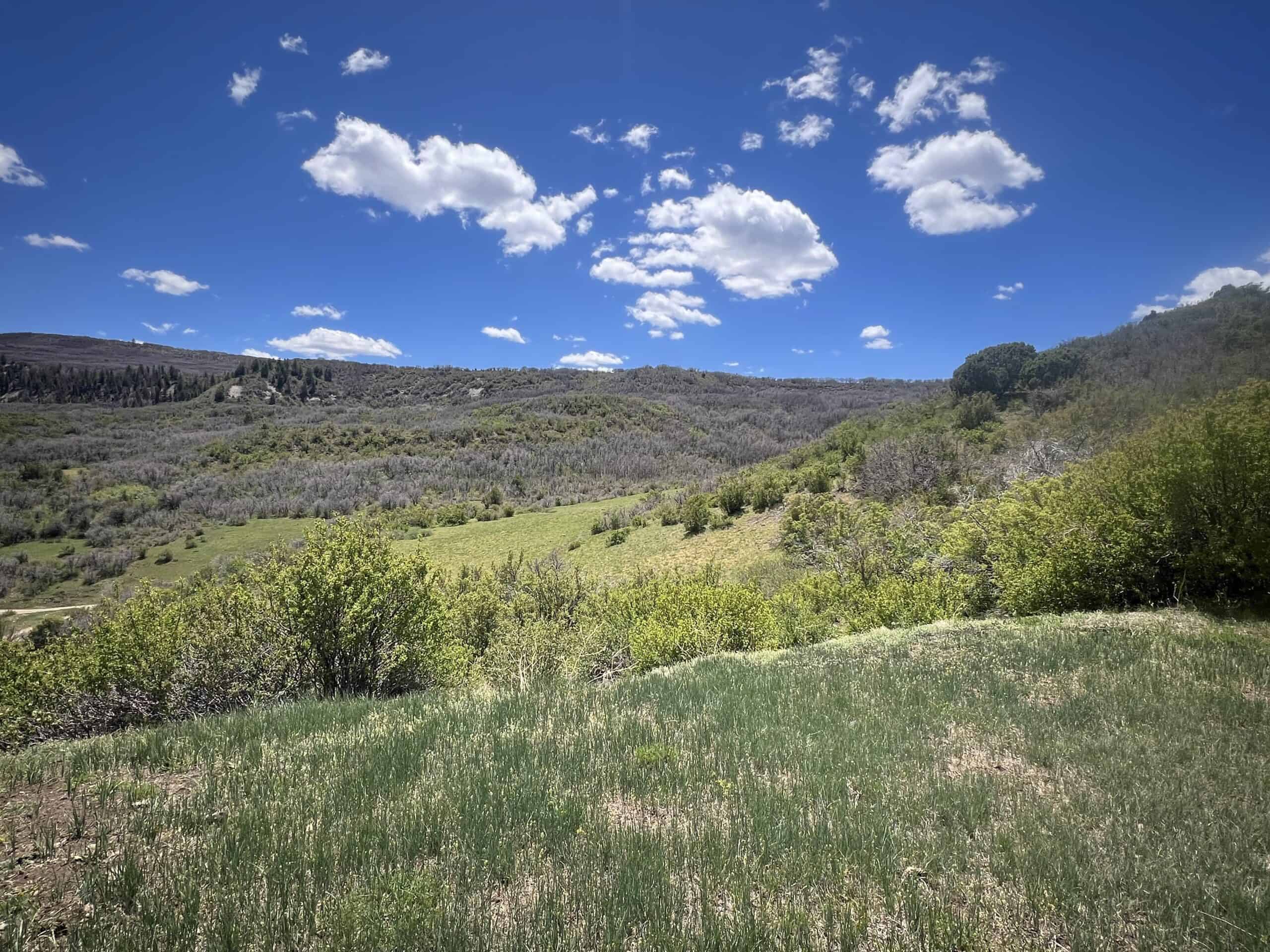 Secluded Colorado hunting land and cabin
