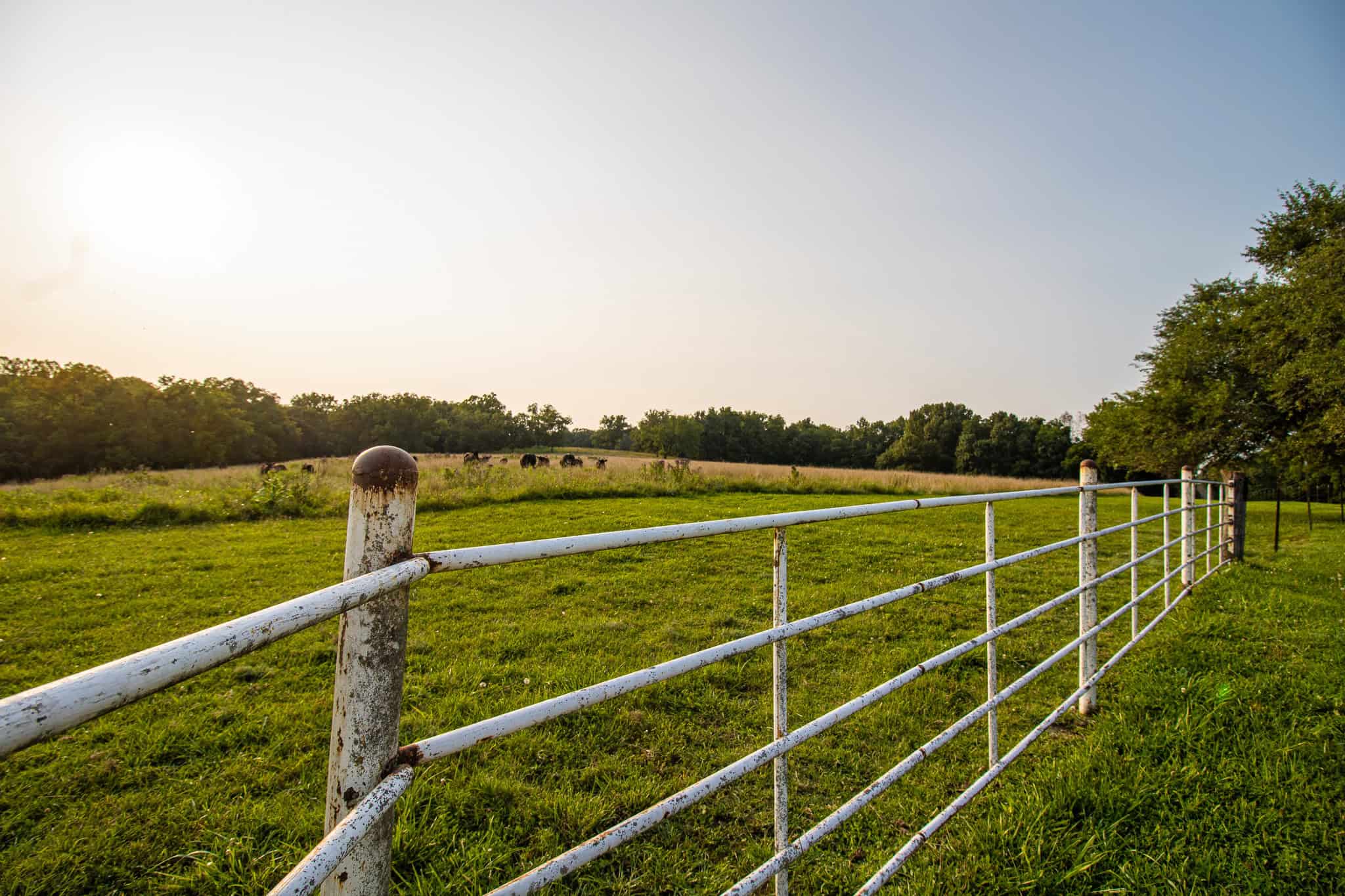 Land for Sale Osceola MO