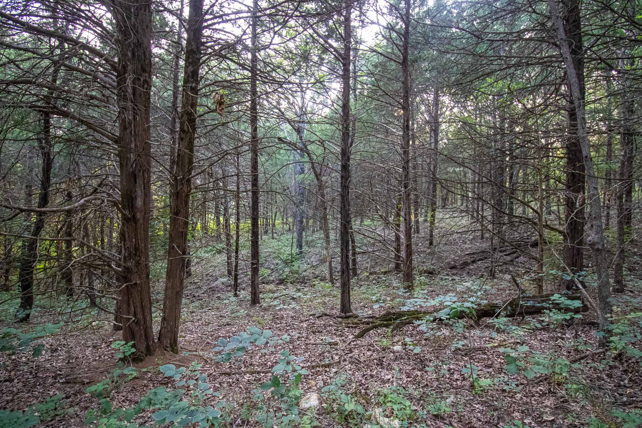 Land for Sale Osceola MO