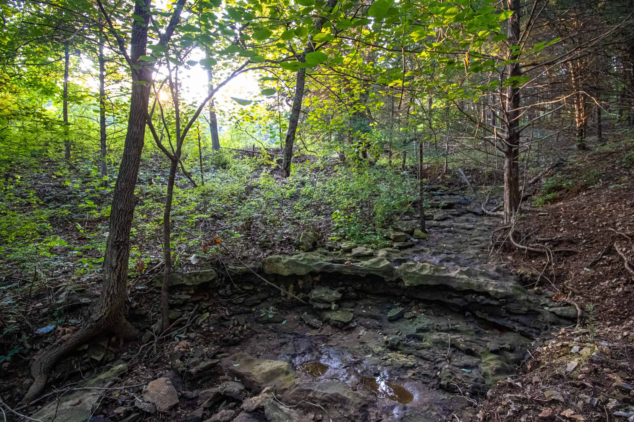 Land for Sale Osceola MO