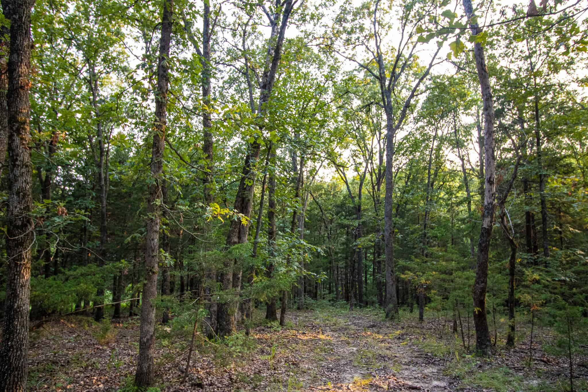 Land for Sale Osceola MO