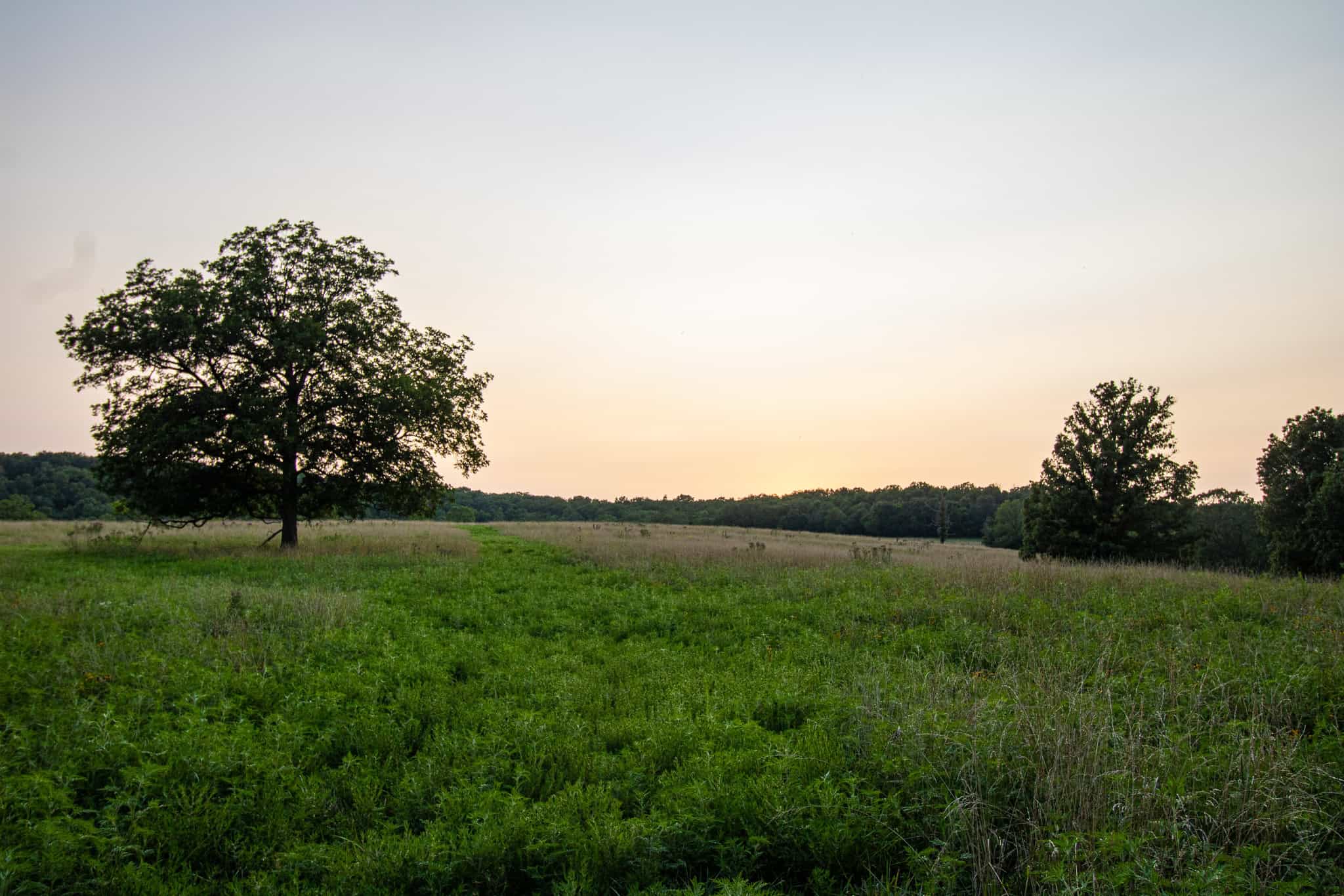 Land for Sale Osceola MO