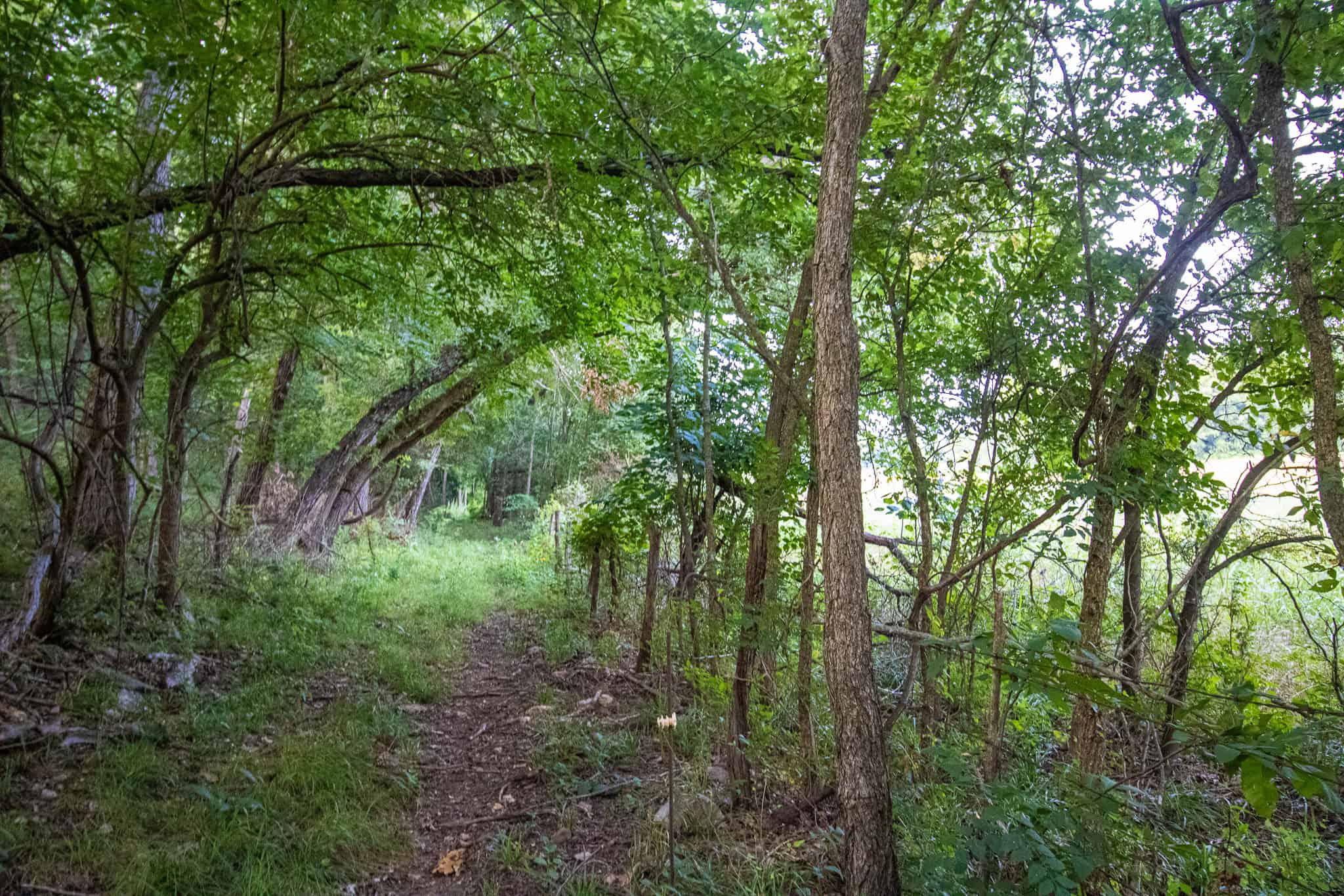 Land for Sale Osceola MO
