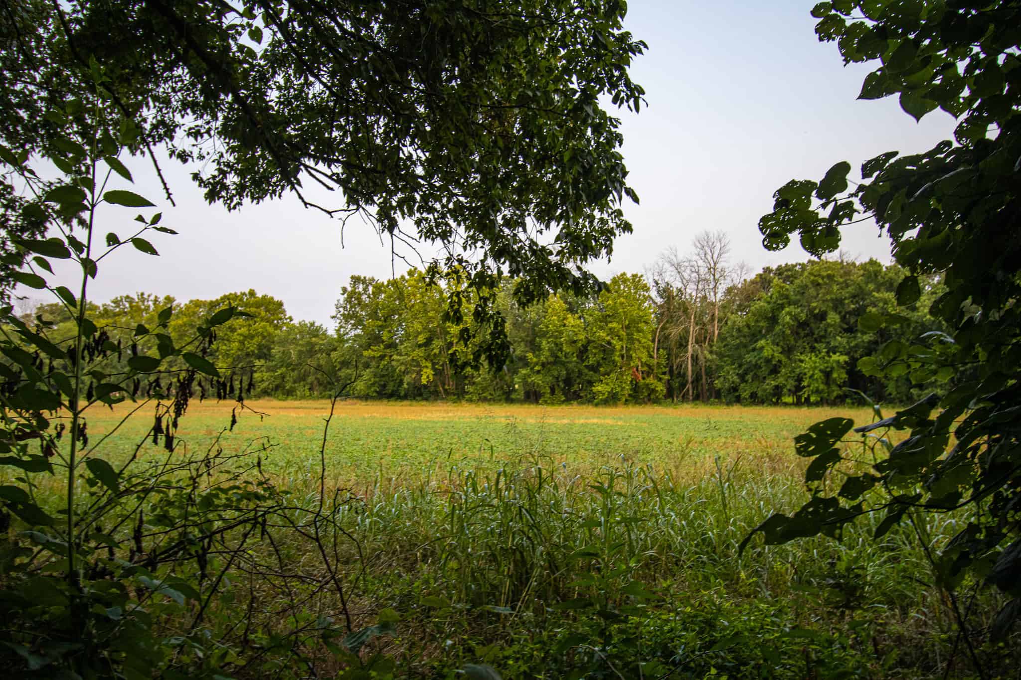 Land for Sale Osceola MO