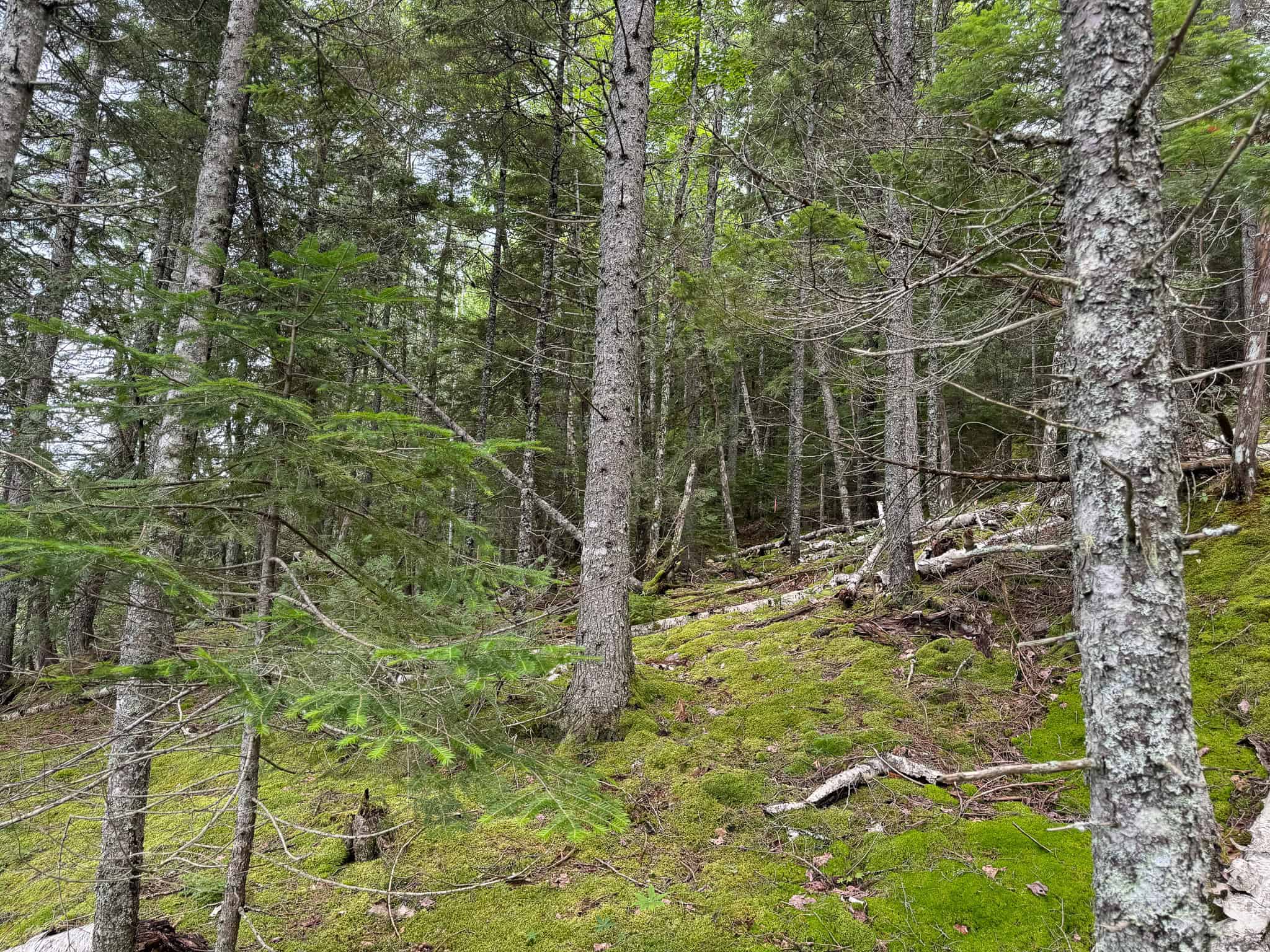 330 Acre Parcel with Waterfront