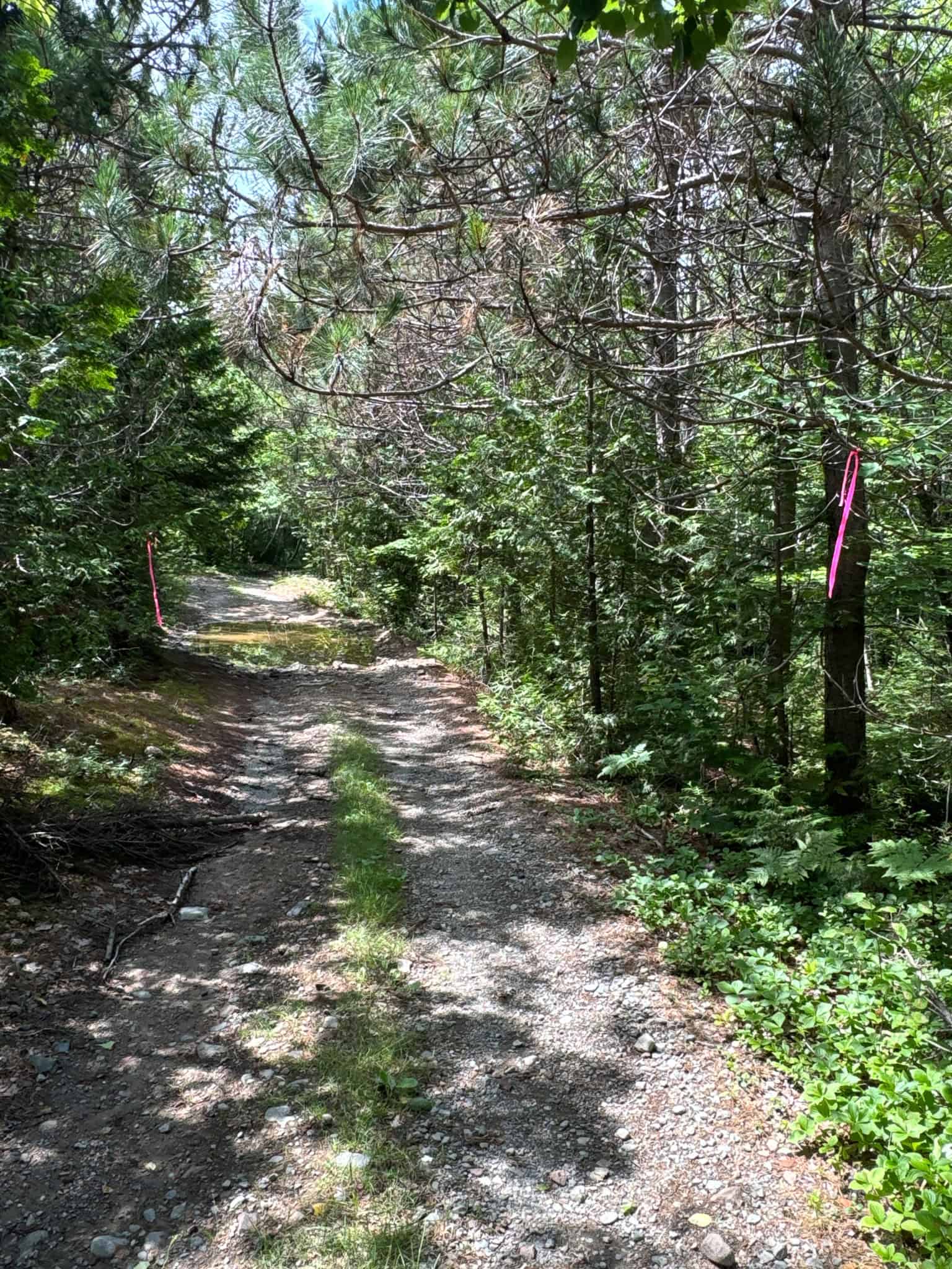 330 Acre Parcel with Waterfront