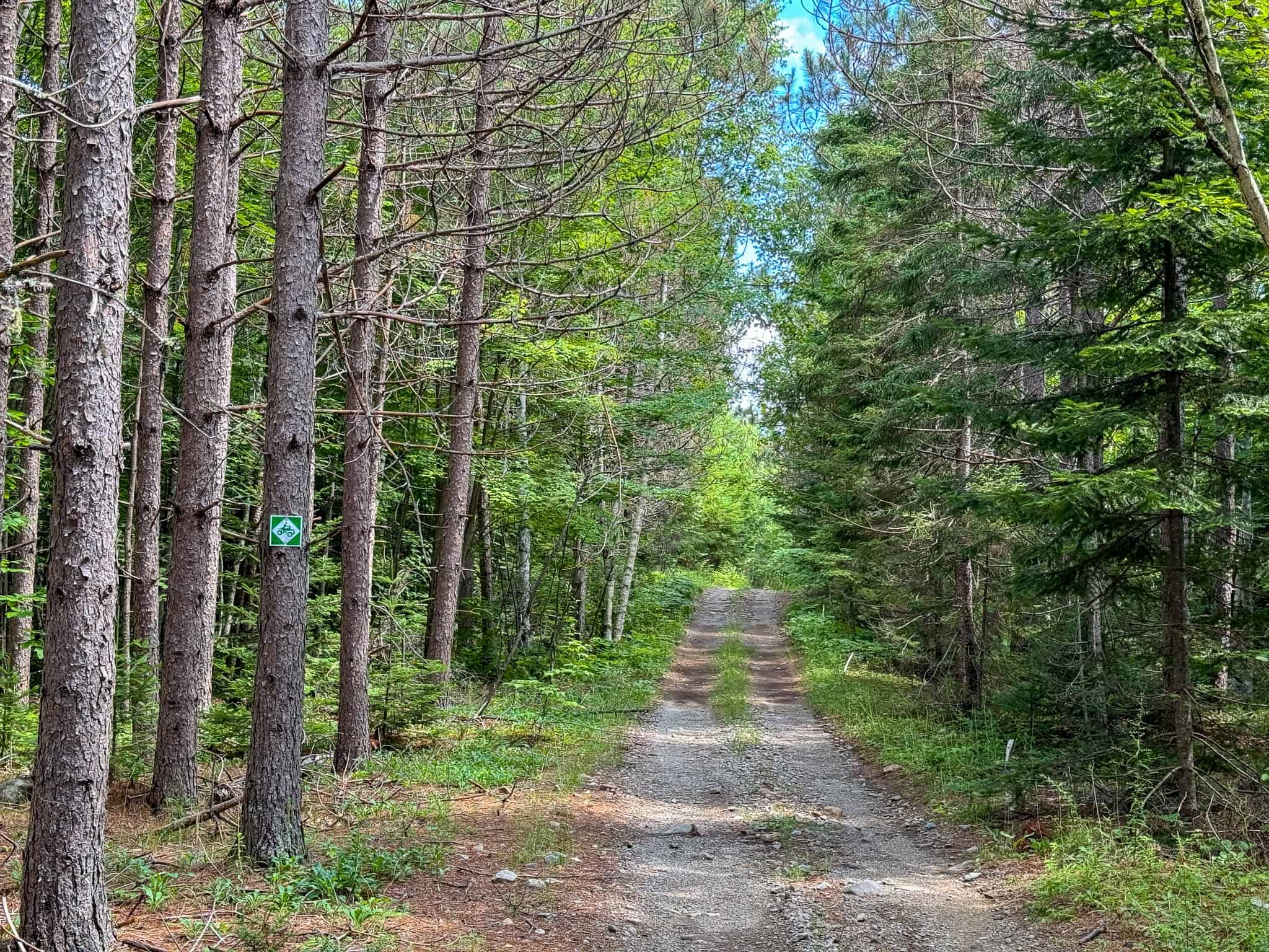 330 Acre Parcel with Waterfront