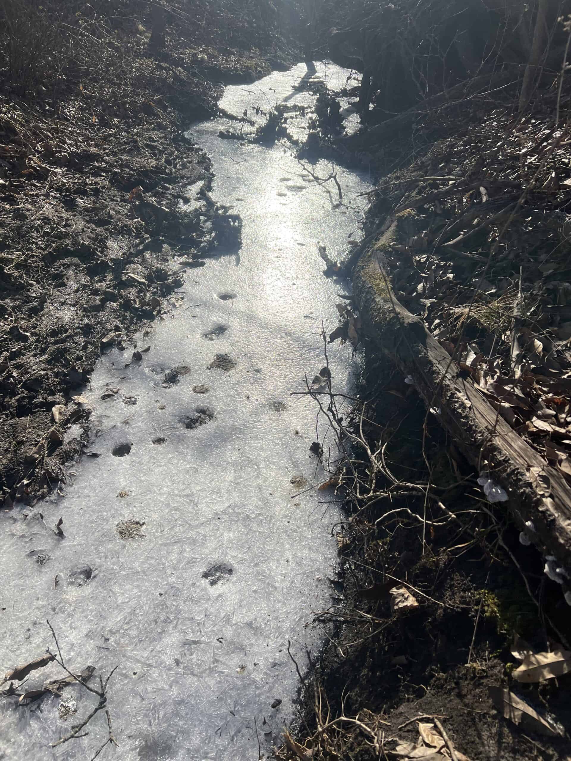 Northern MO Dynamite Hunting with Income