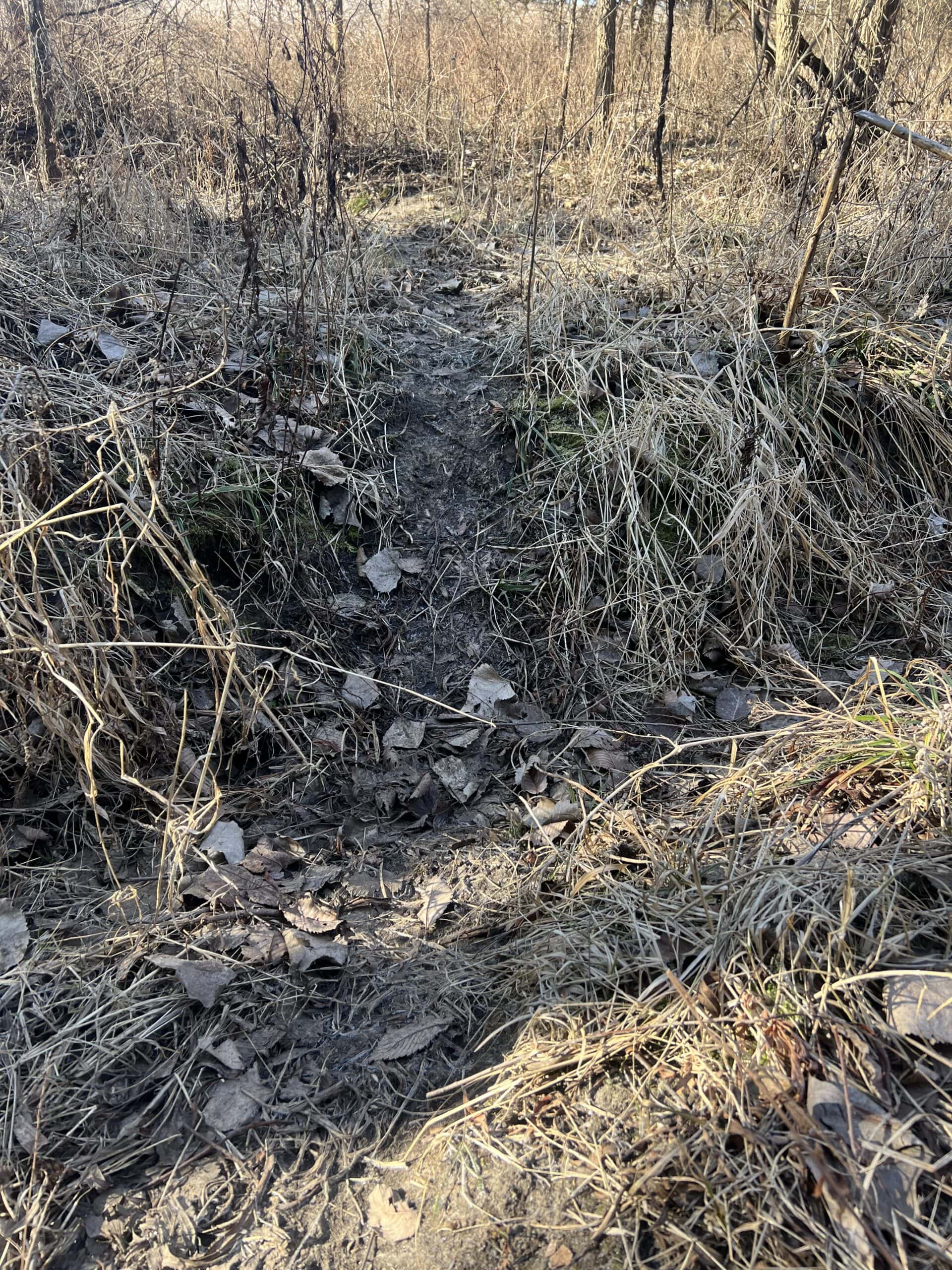 Northern MO Dynamite Hunting with Income