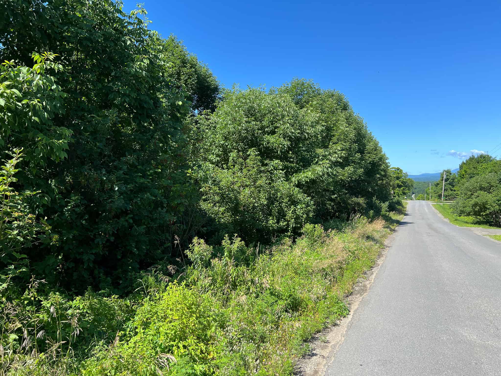 42.3 Acres of Maine Land