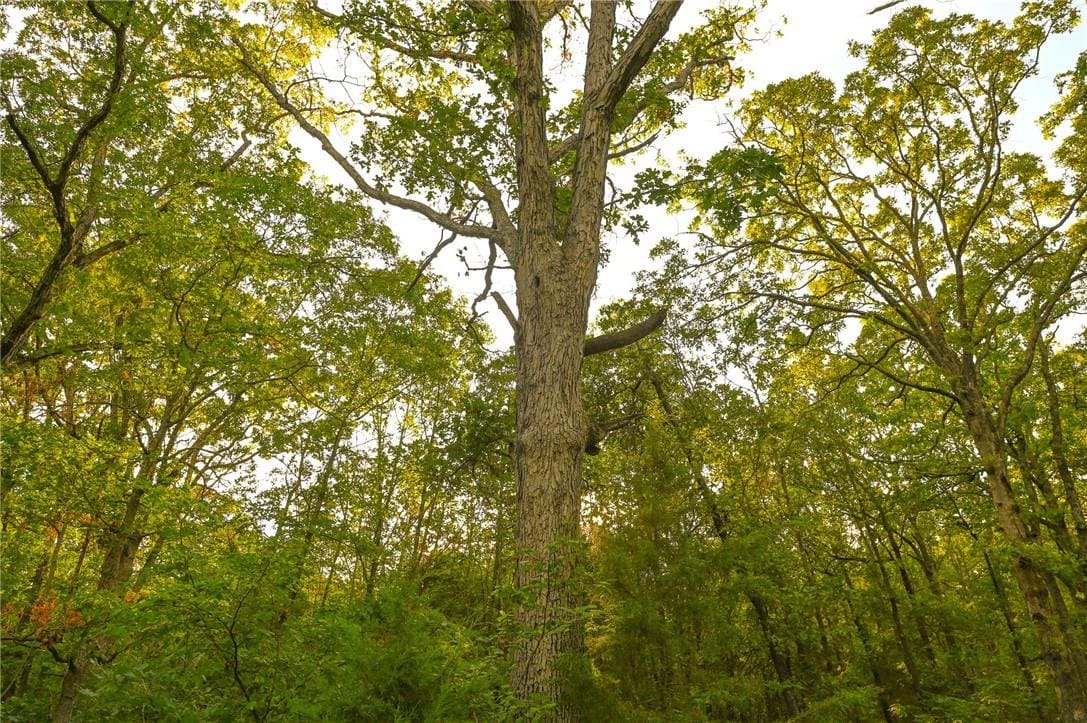 Land for sale Osceola MO