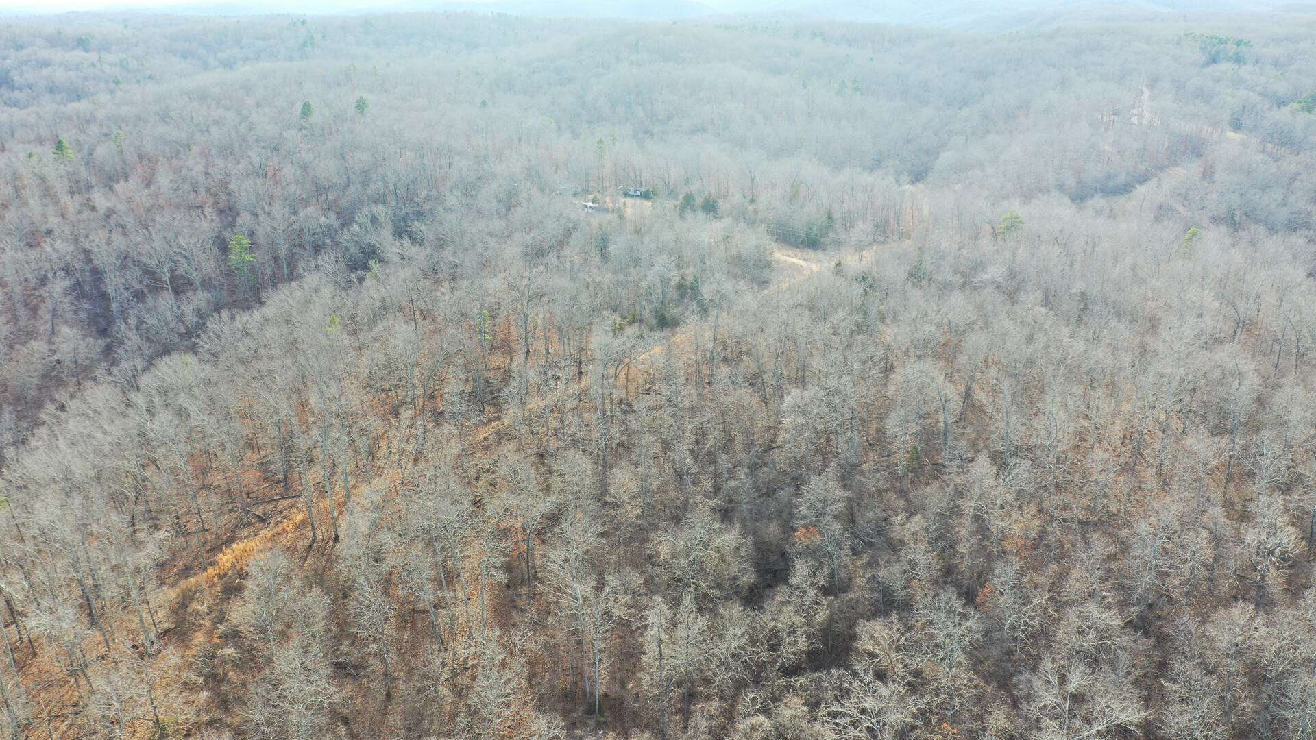 117.7 Acres Nestled on the Dent & Shannon County Line, Missouri