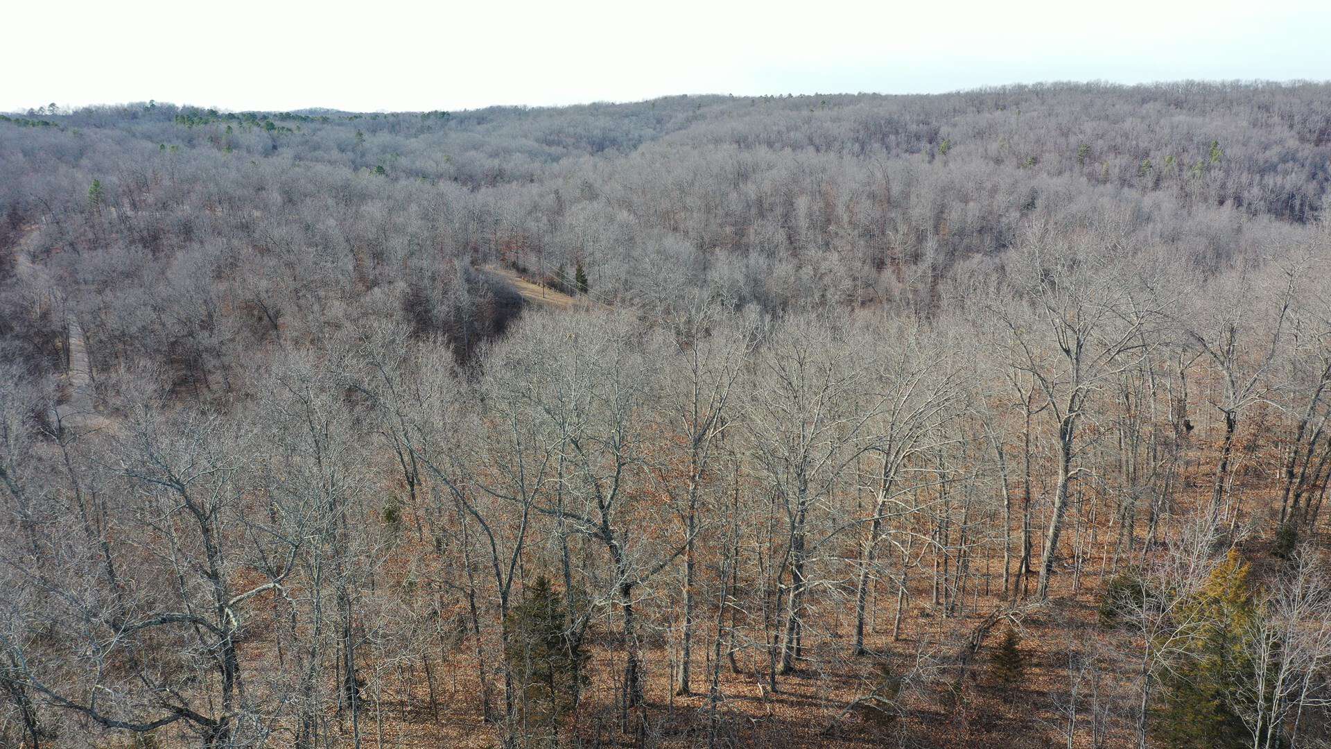117.7 Acres Nestled on the Dent & Shannon County Line, Missouri