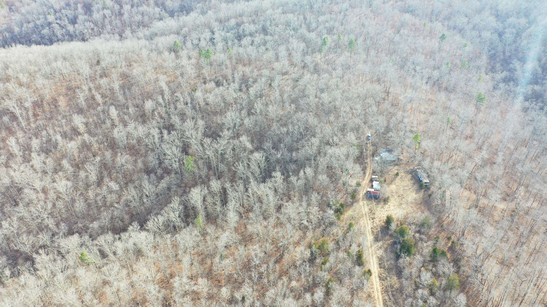 117.7 Acres Nestled on the Dent & Shannon County Line, Missouri