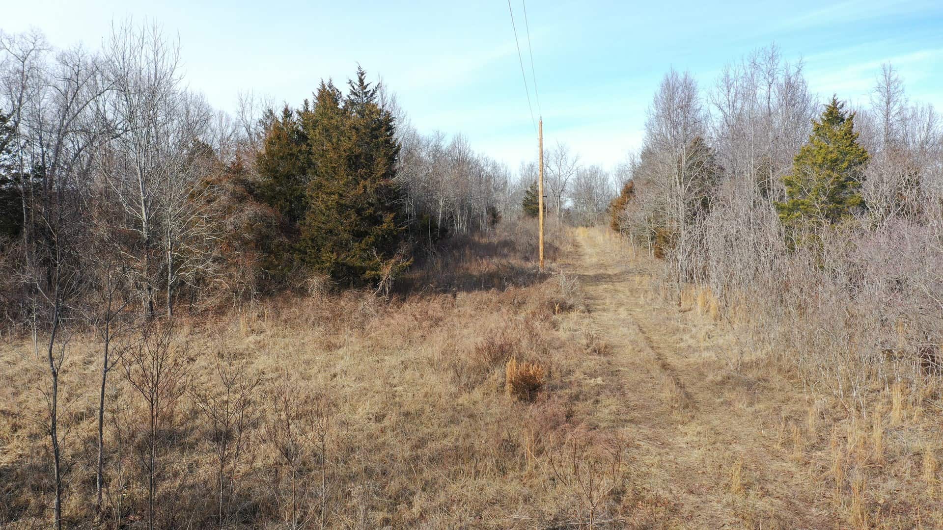 117.7 Acres Nestled on the Dent & Shannon County Line, Missouri