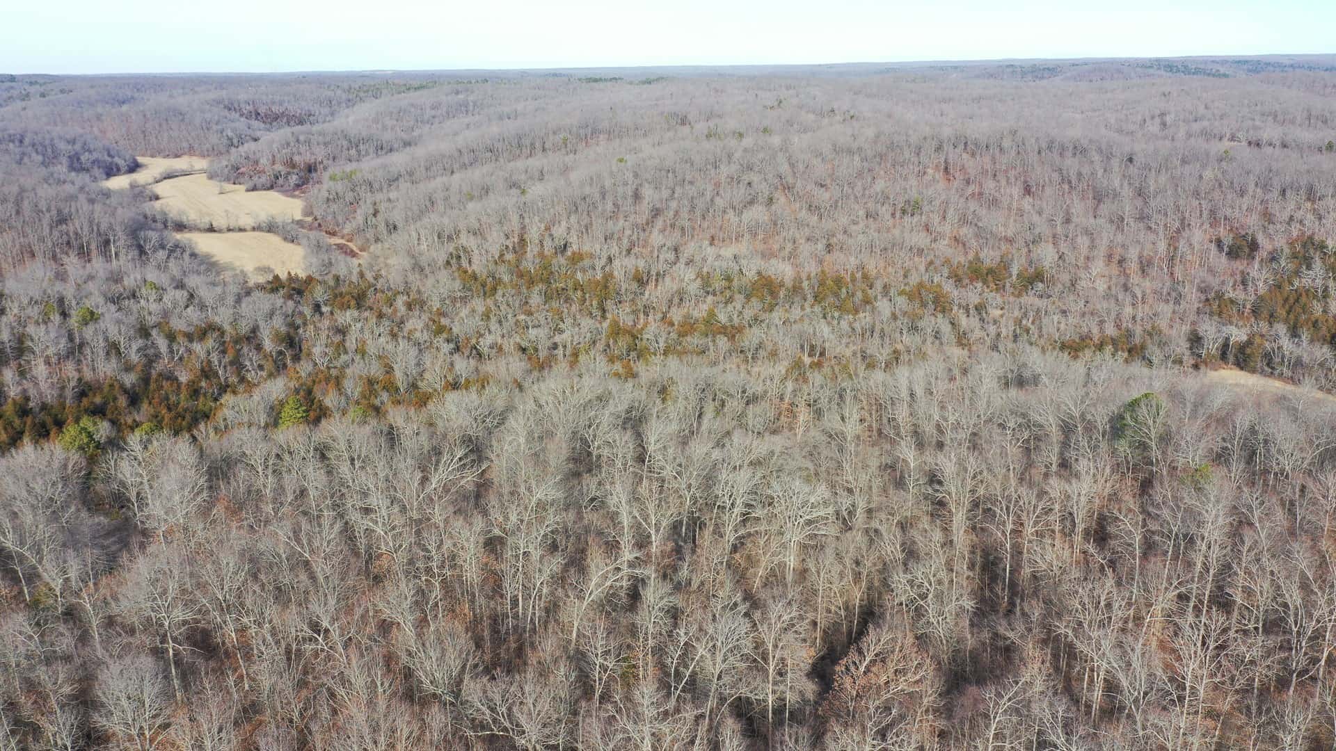 117.7 Acres Nestled on the Dent & Shannon County Line, Missouri