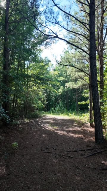 The BW Game Ranch