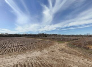 000 Highway 585