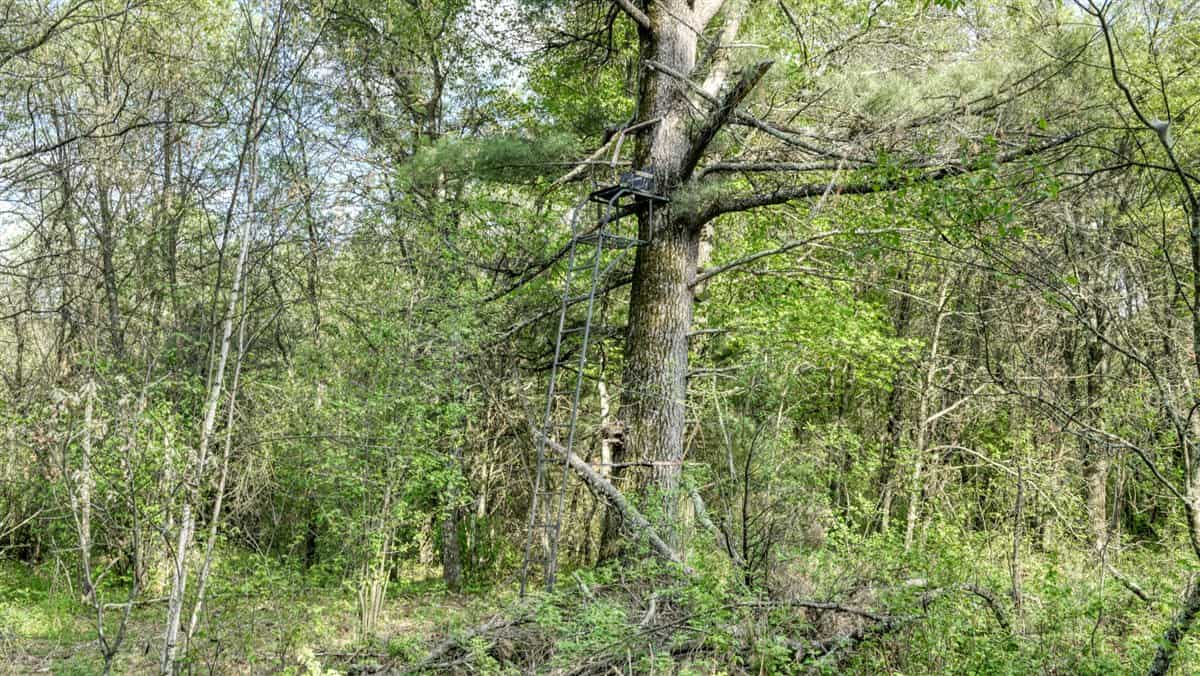 Exceptional Recreational Property in Sparta, WI