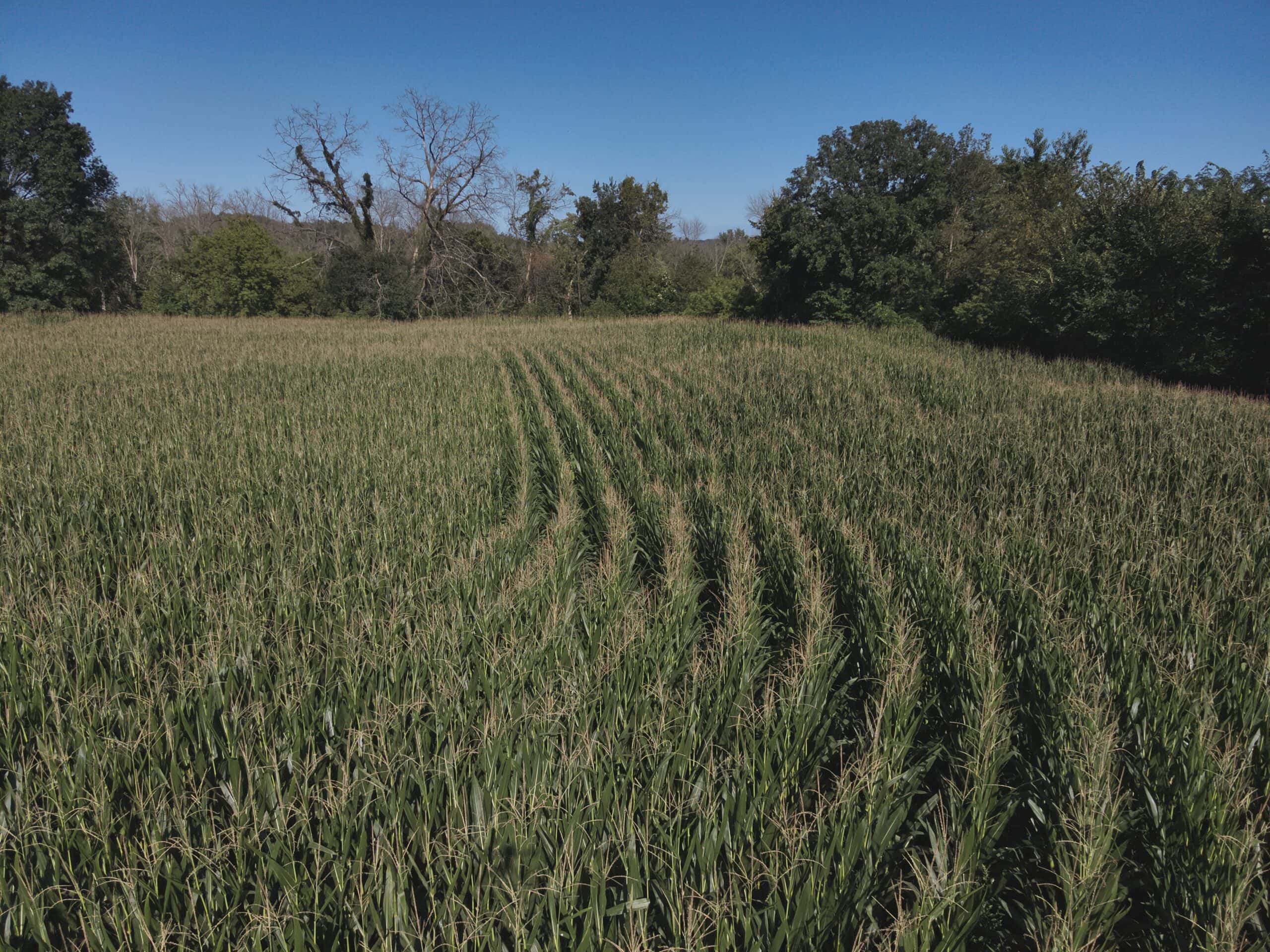 Recreational Property with Waterfront for sale in Southwest Wisconsin