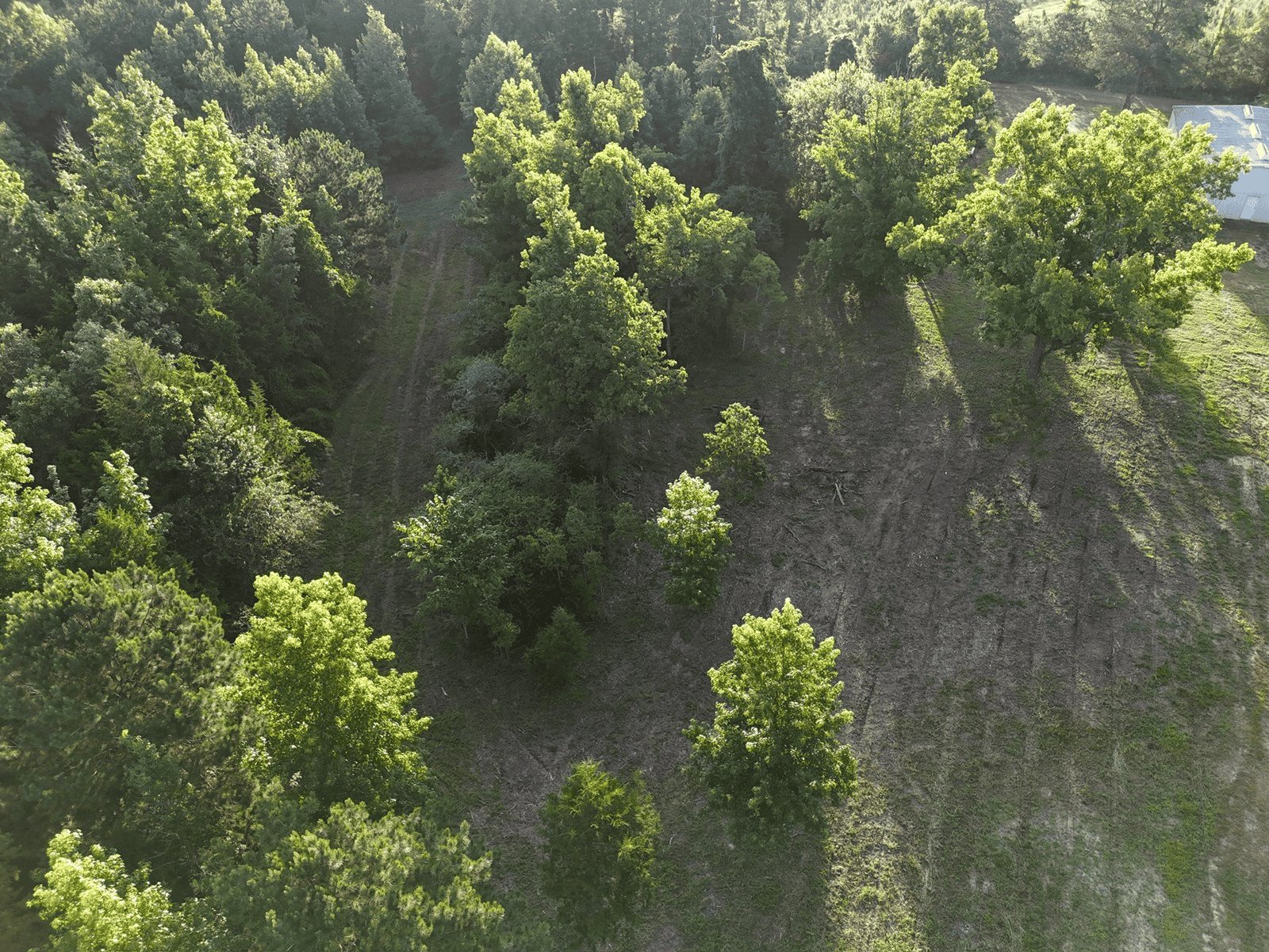 ±24.1 Acres Of East Texas Land With Insulated Shop And Pond