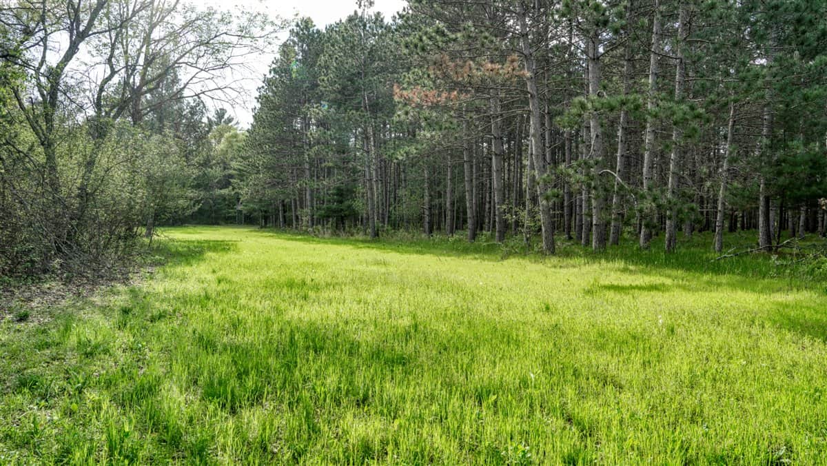 Exceptional Recreational Property in Sparta, WI