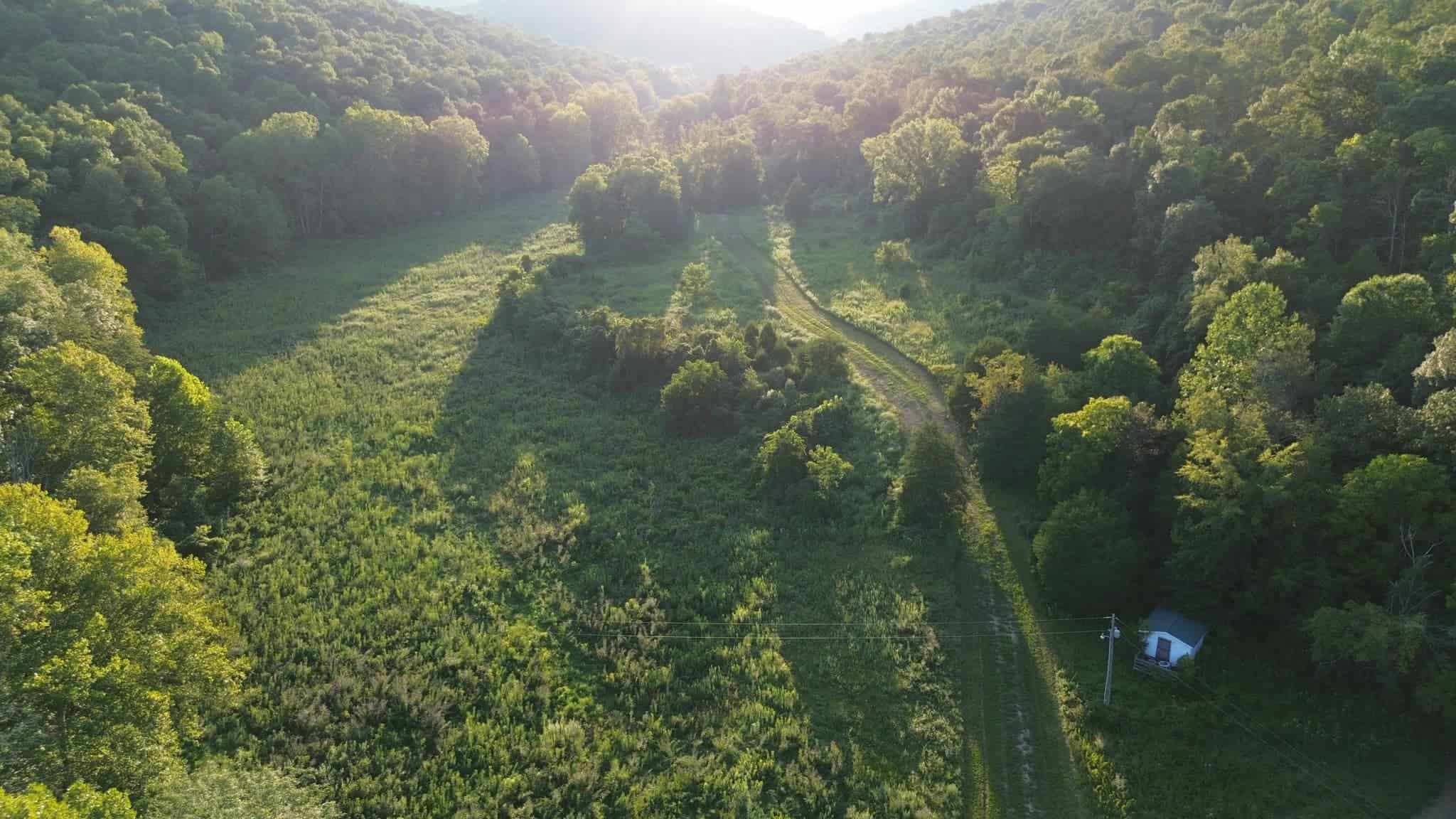 Acreage in Wayne County, Kentucky