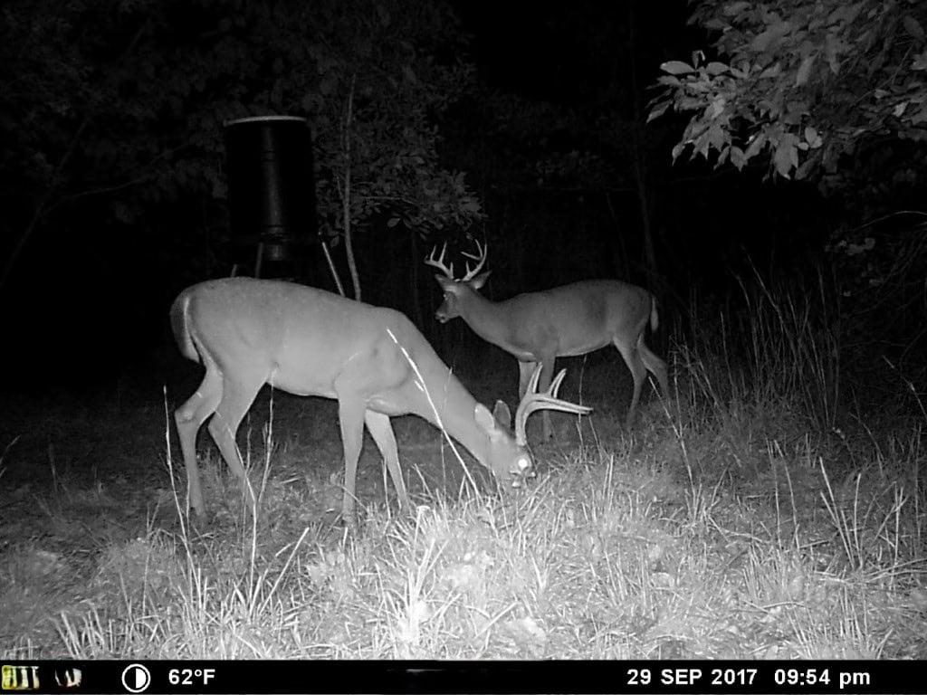 HUNTING PROPERTY FOR SALE IN TN WITH TIMBER AND BRANCH