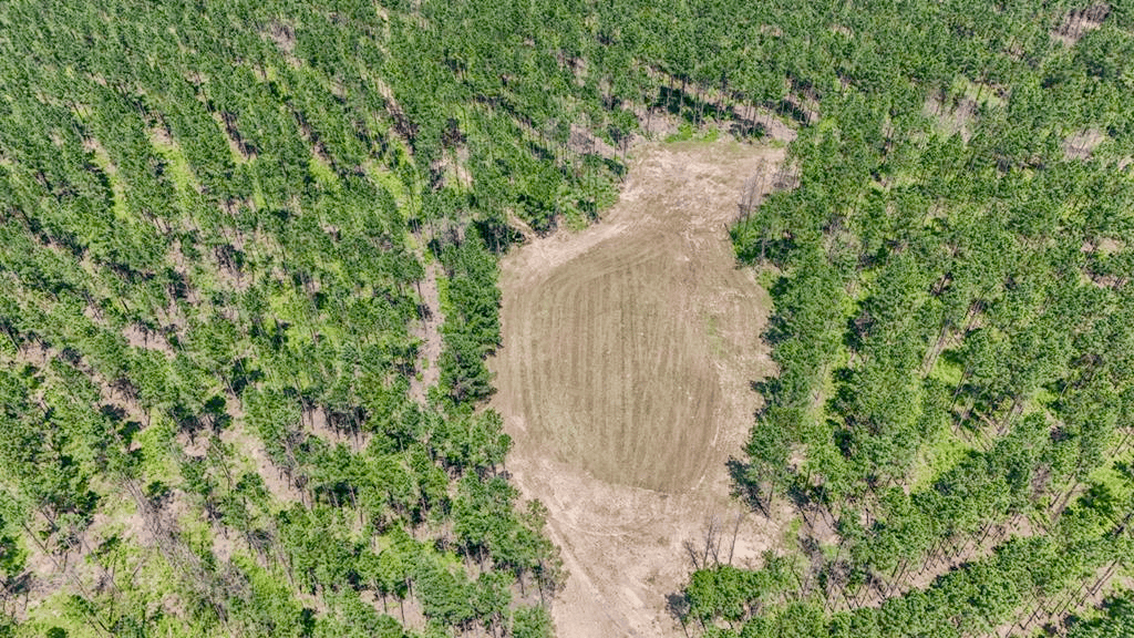 Turn Key Hunting Property in Amite County, MS