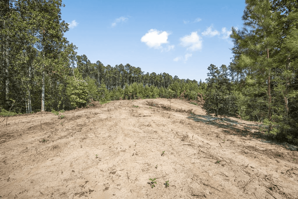 Small Hunting Property Near Caston Creek WMA