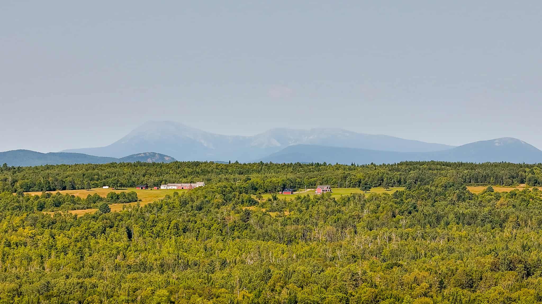 Katahdin View Forest – Prime Timberland in Patten, Maine