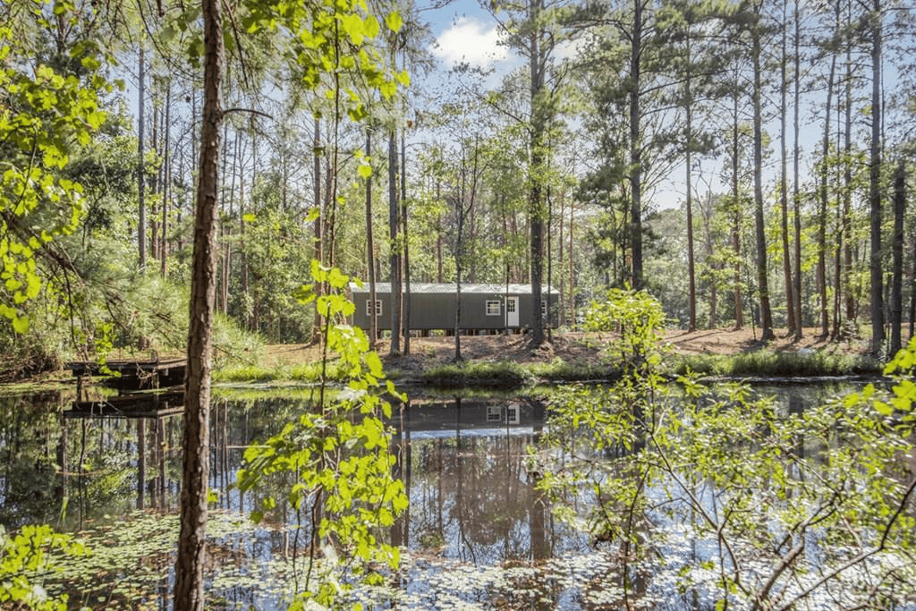 Wilkinson County Hunting Land Adjoining National Forest