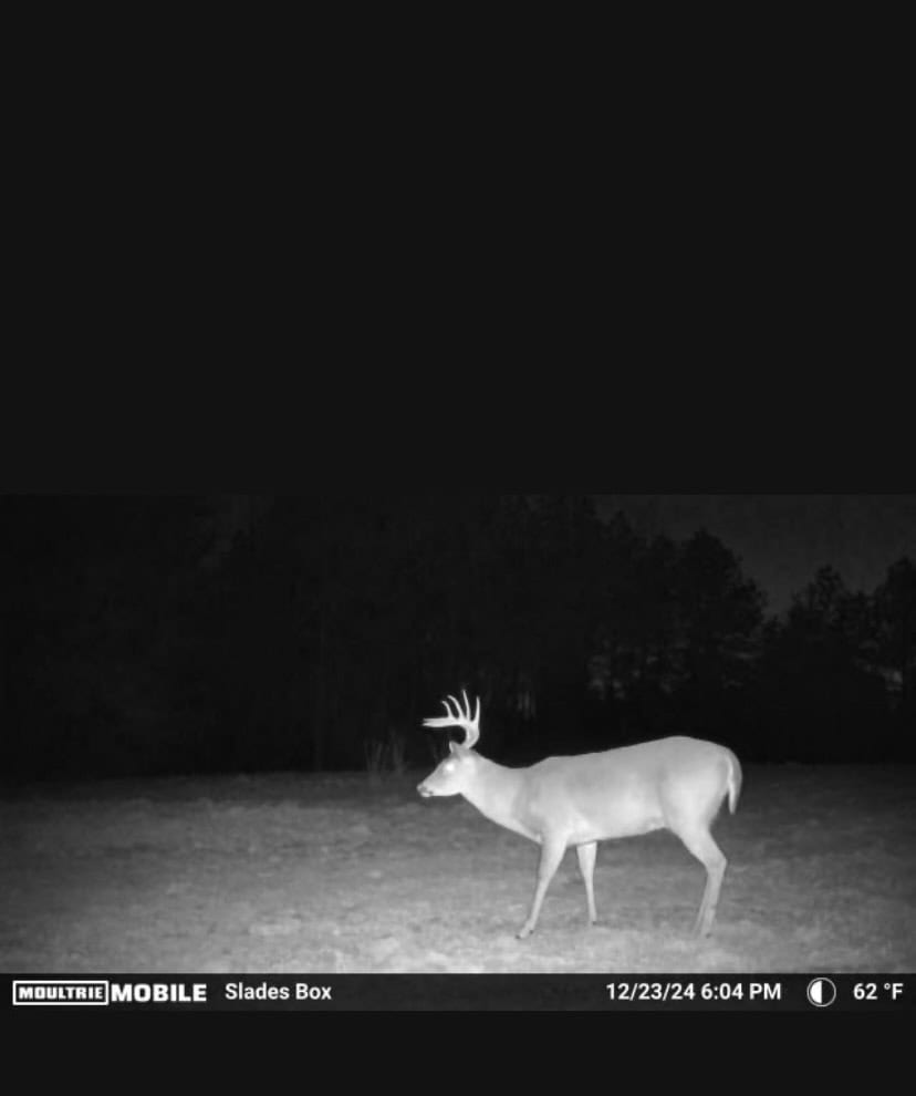 Turn Key Hunting Property in Amite County, MS