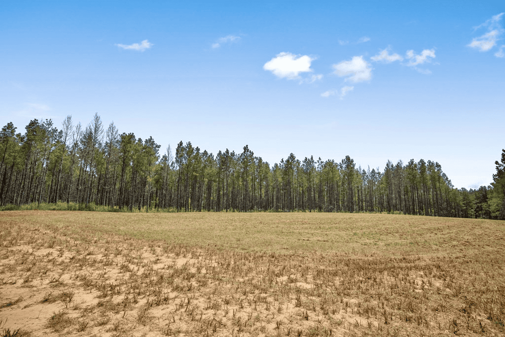 Turn Key Hunting Property in Amite County, MS