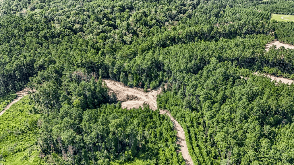 Small Hunting Property Near Caston Creek WMA