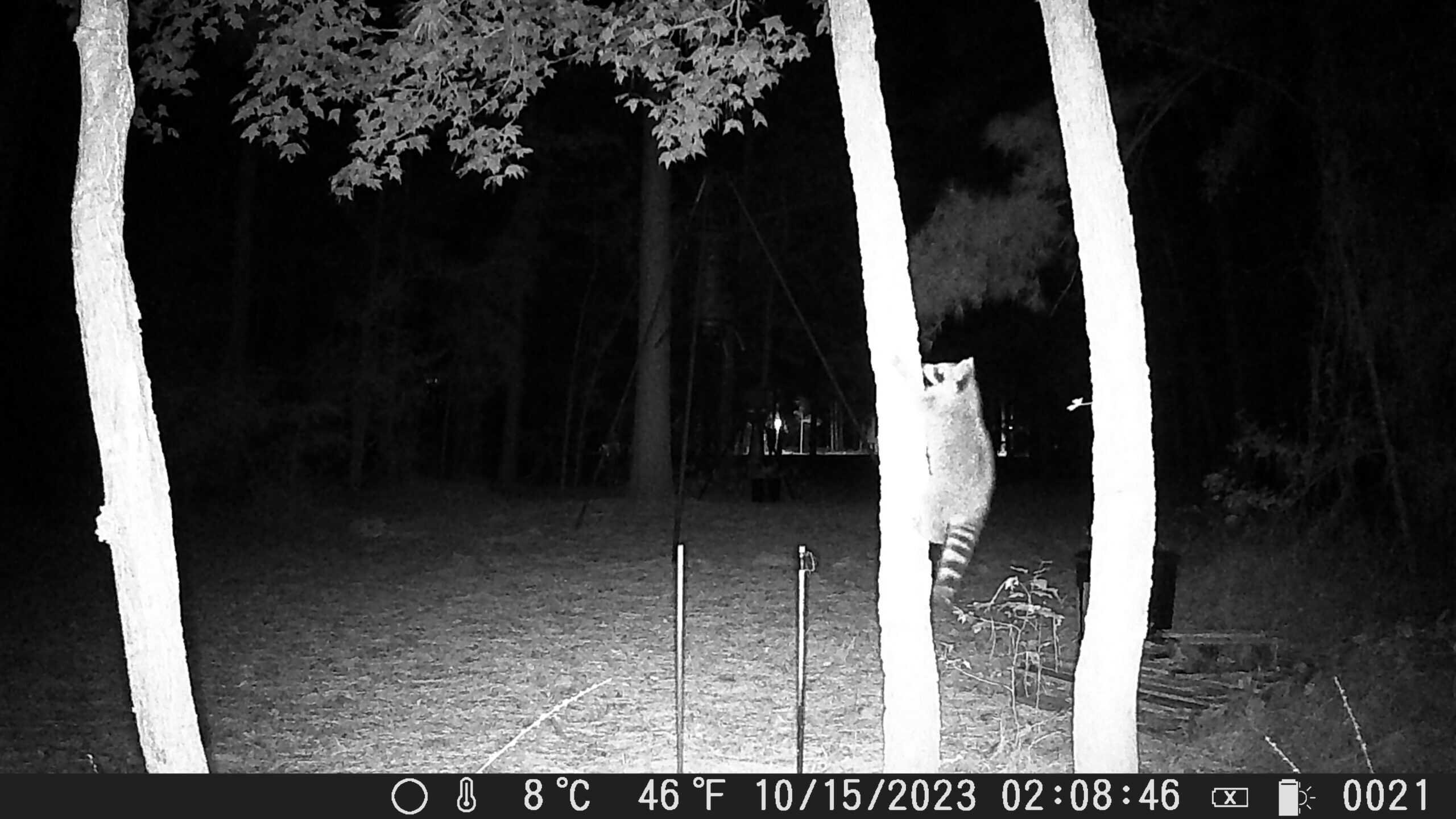 East Texas Hunting/Recreational Tract With Cabin