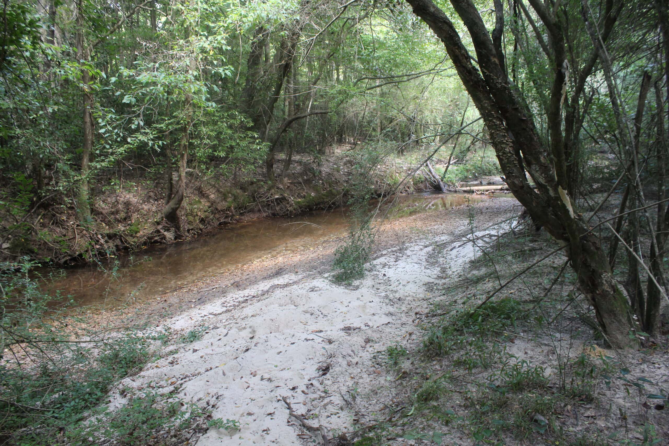 3960 East Lincoln Road SE Brookhaven, MS 39601