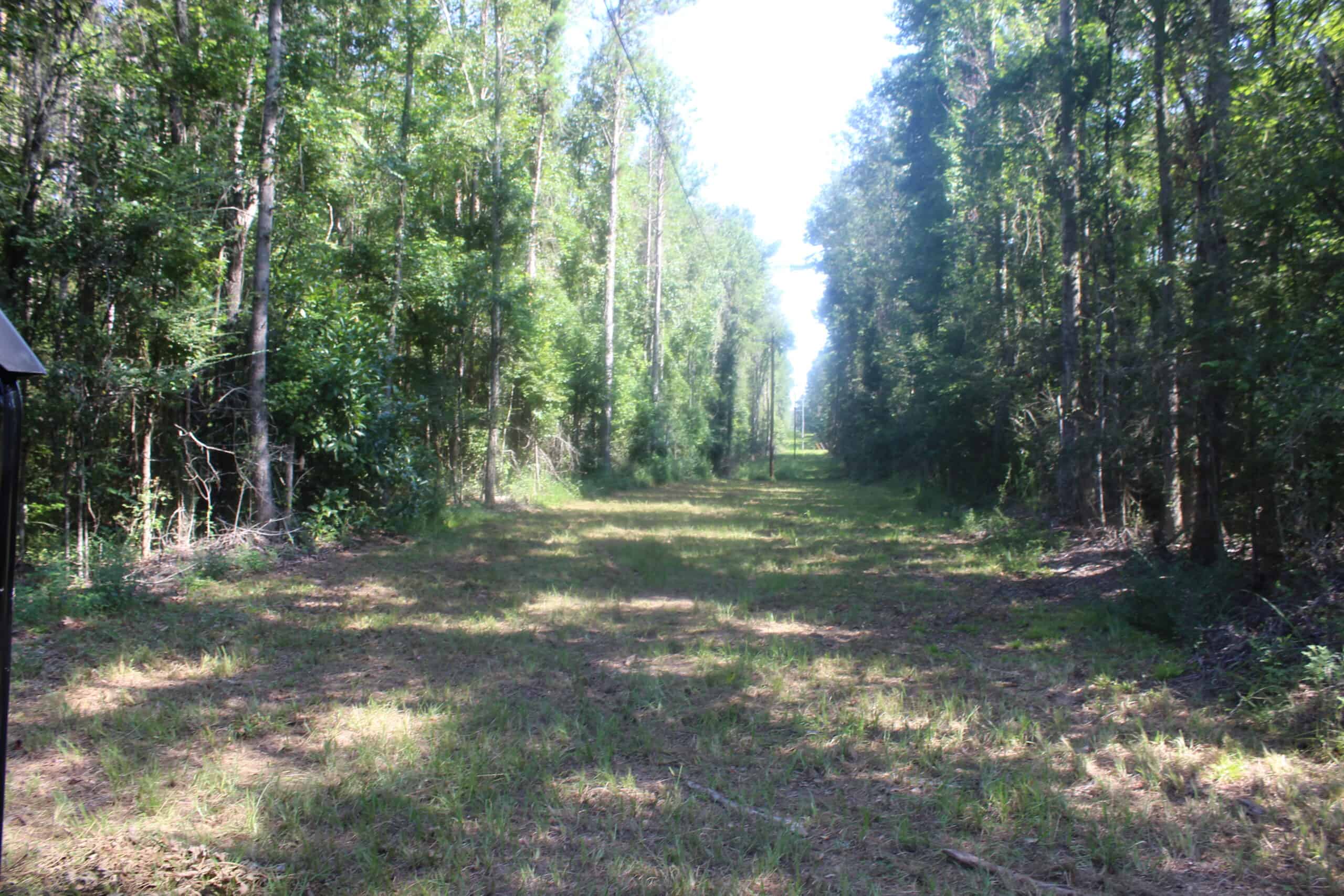 3960 East Lincoln Road SE Brookhaven, MS 39601